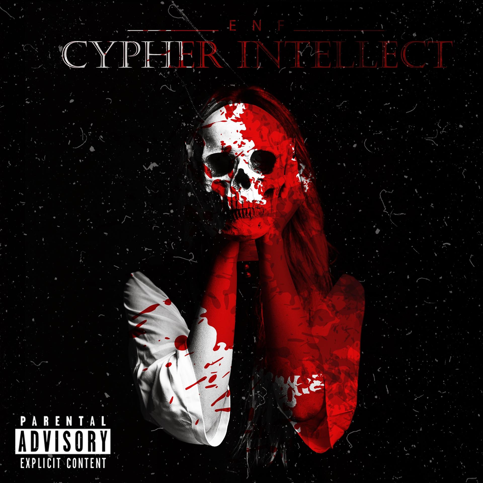 Постер альбома Cypher Intellect