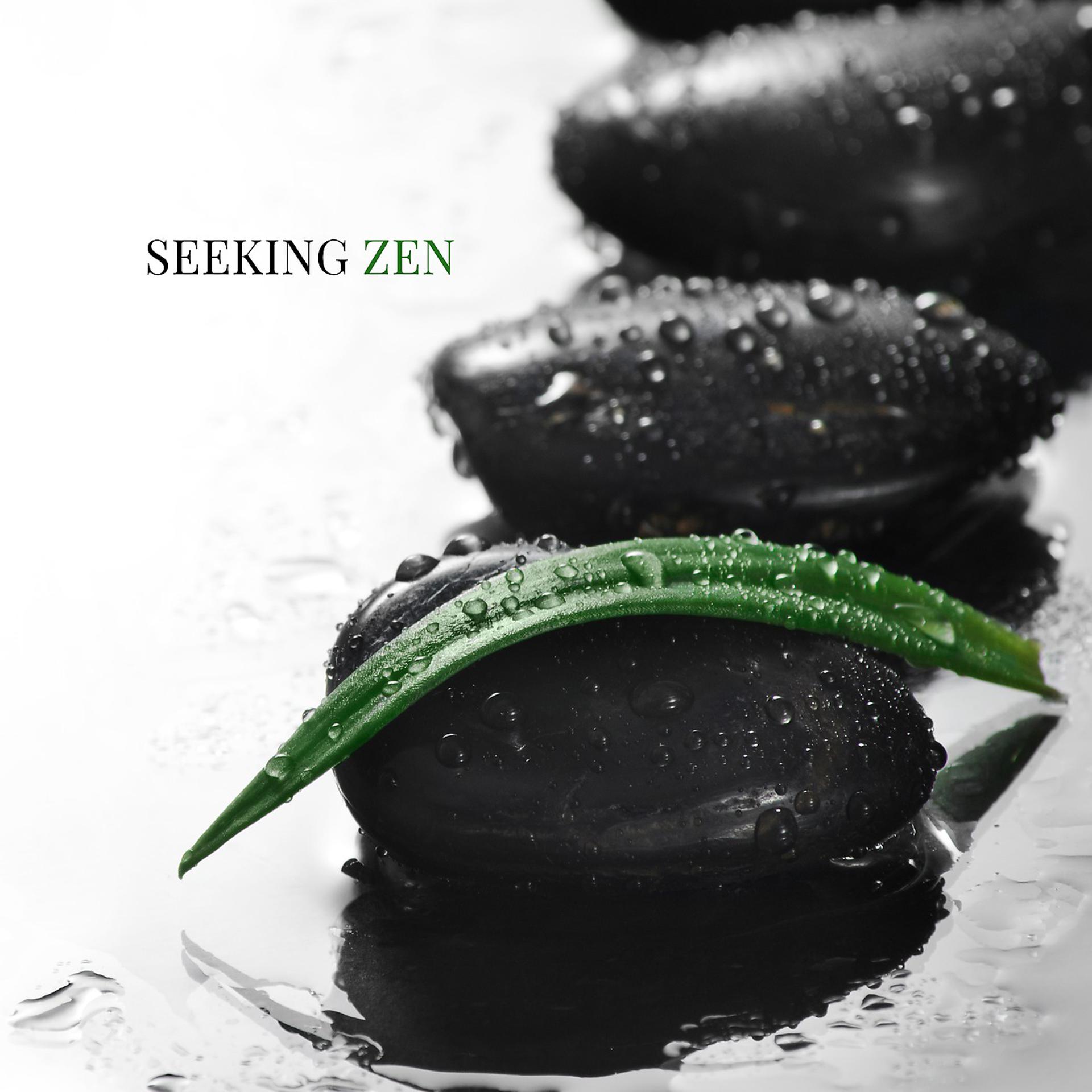Постер альбома Seeking Zen