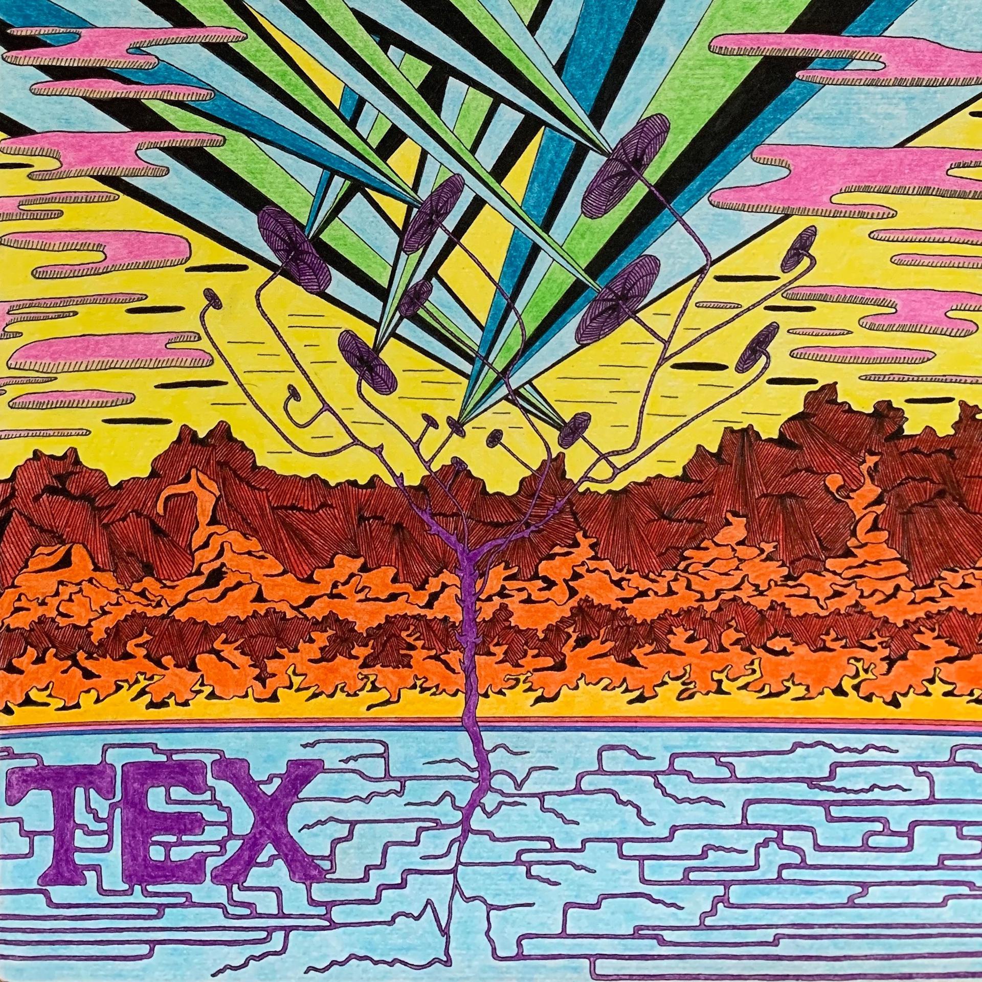 Постер альбома TEX
