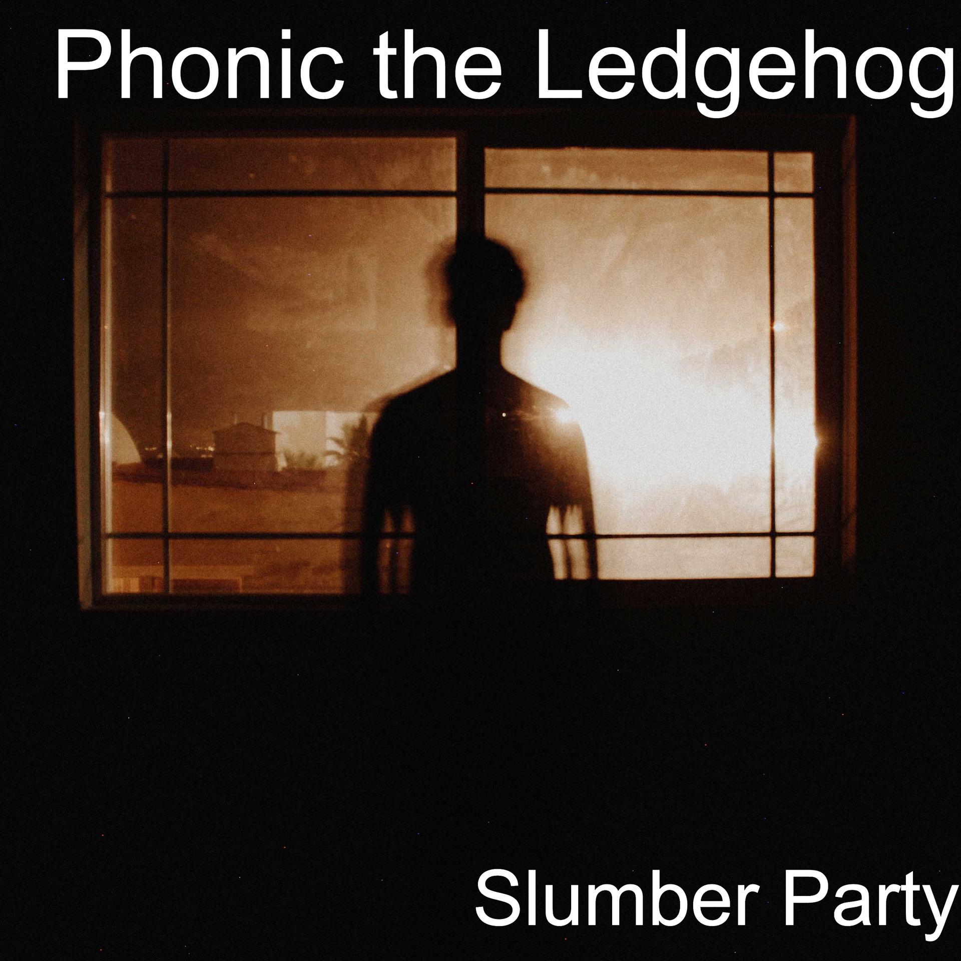 Постер альбома Slumber Party