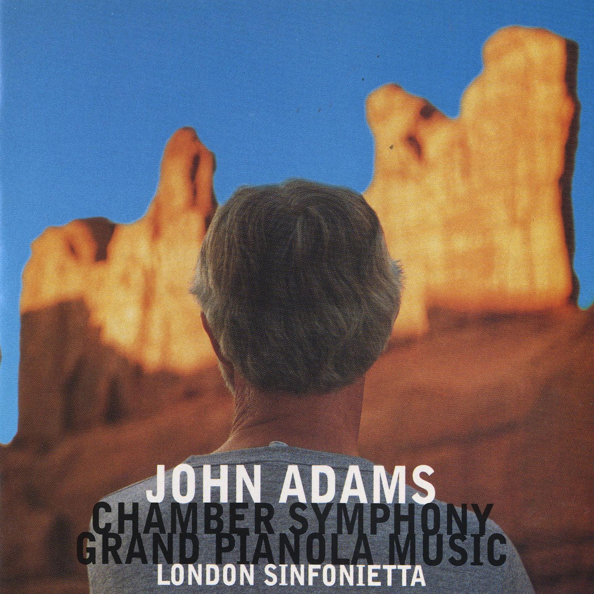 Постер альбома Chamber Symphony / Grand Pianola Music