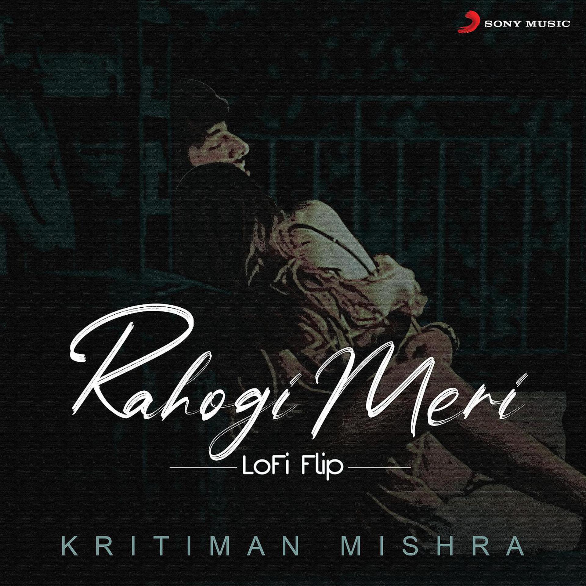 Постер альбома Rahogi Meri (Lofi Flip)