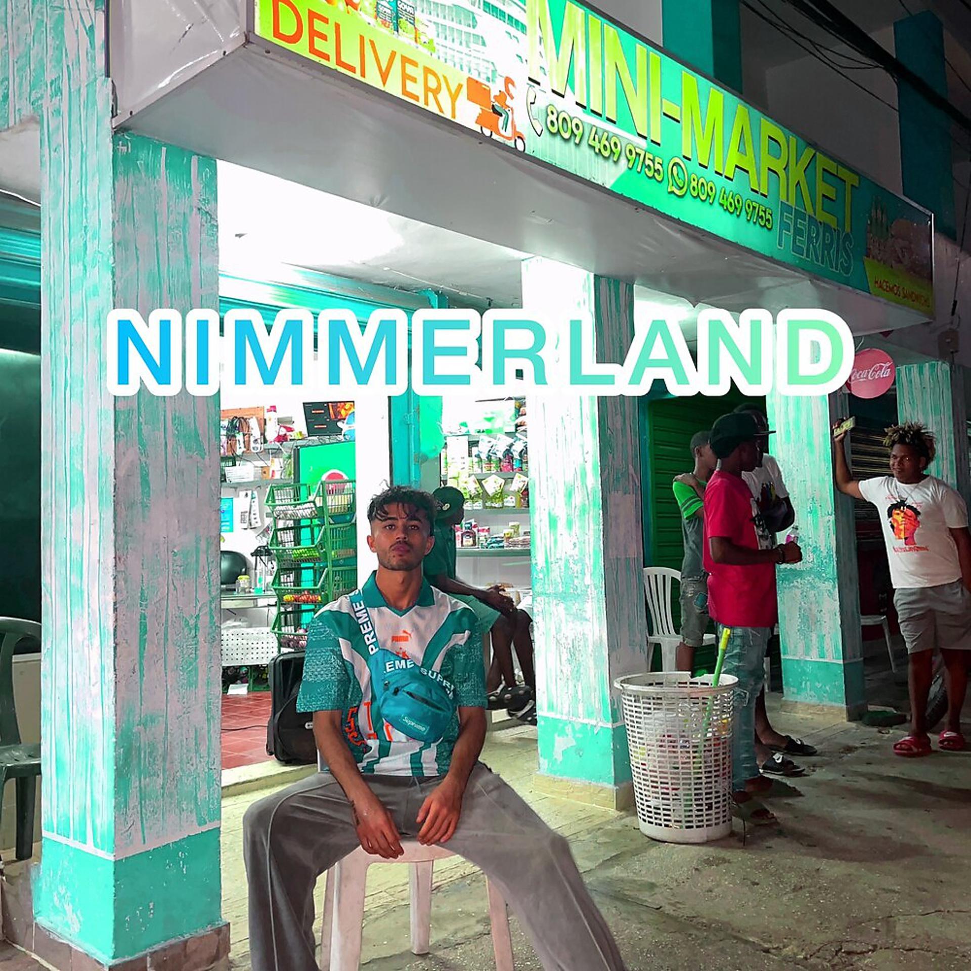 Постер альбома Nimmerland