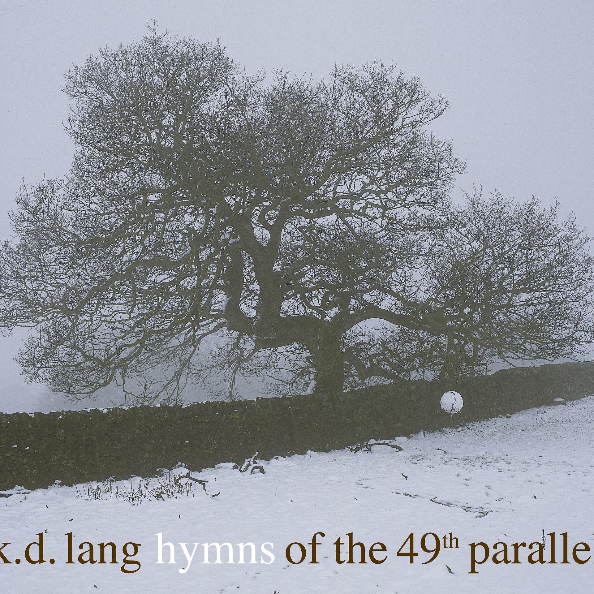 Постер альбома Hymns of the 49th Parallel