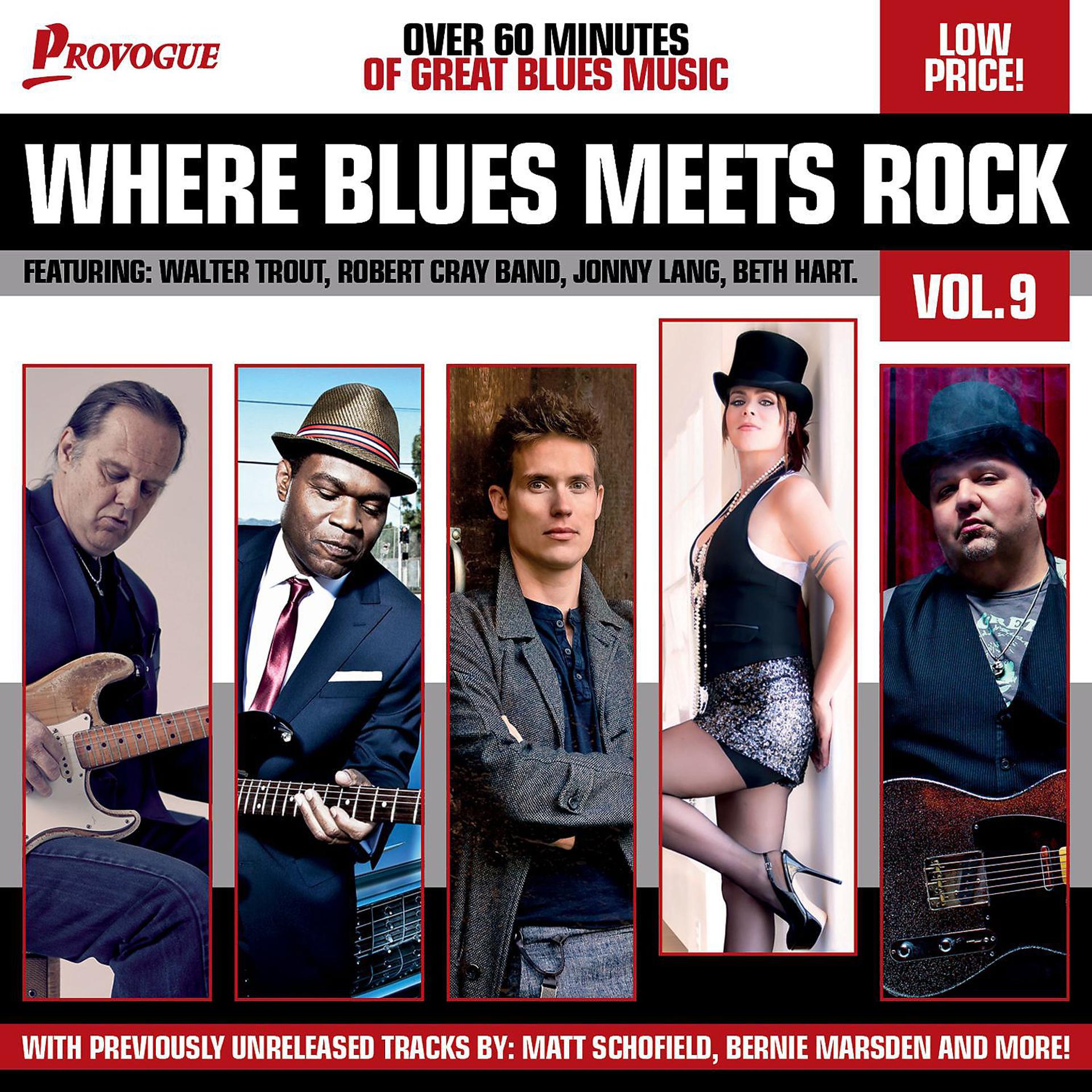 Постер альбома Where Blues Meets Rock Vol. 9