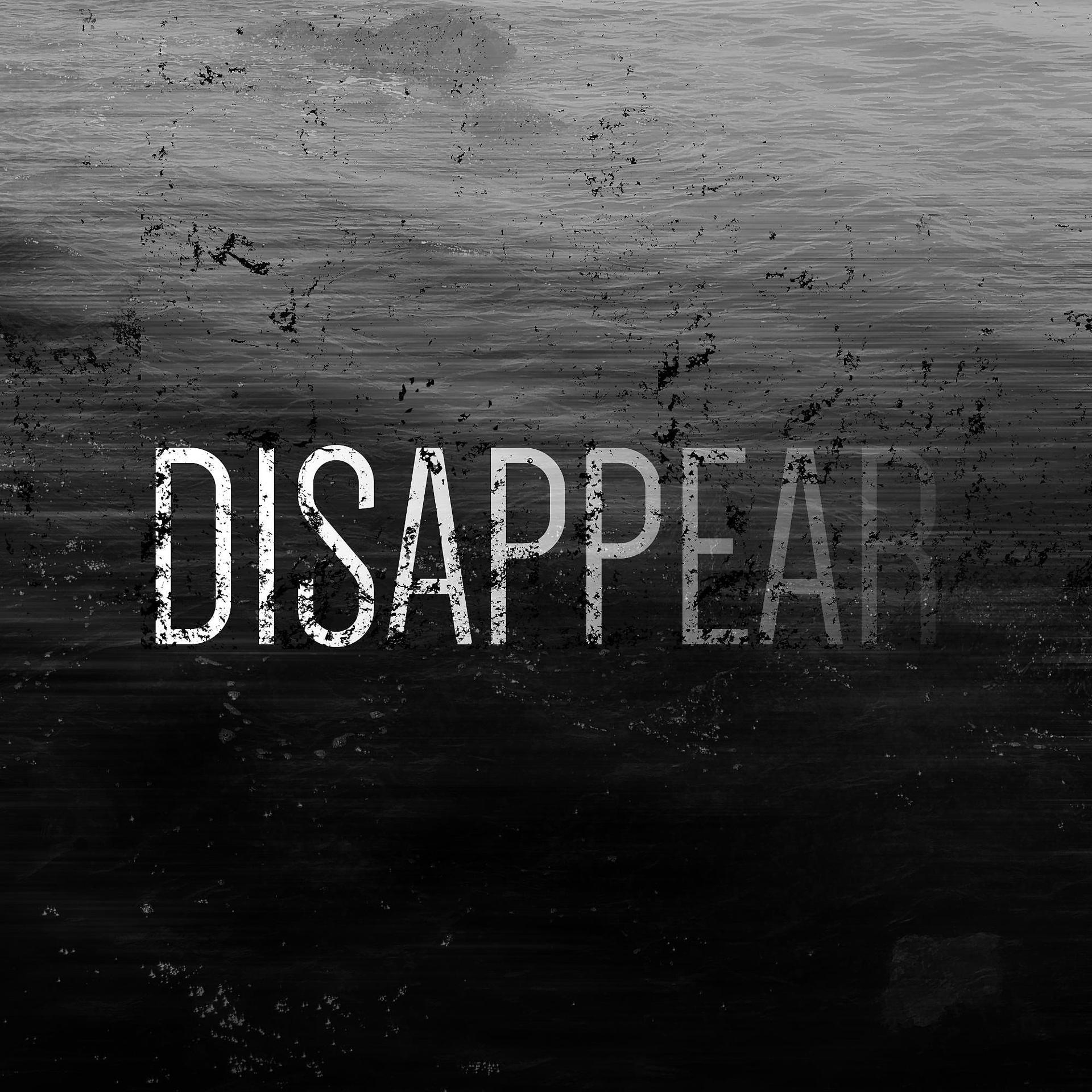 Постер альбома Disappear (feat. Sarah de Warren)