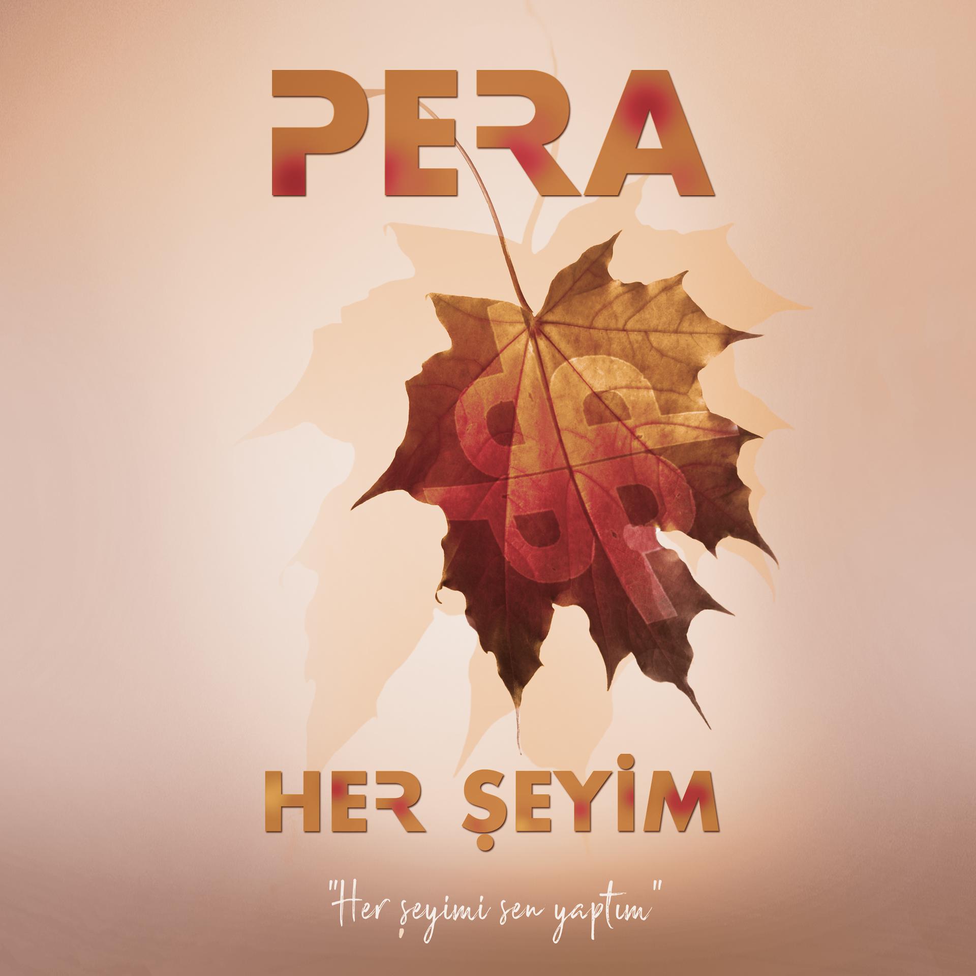 Постер альбома Her Şeyim