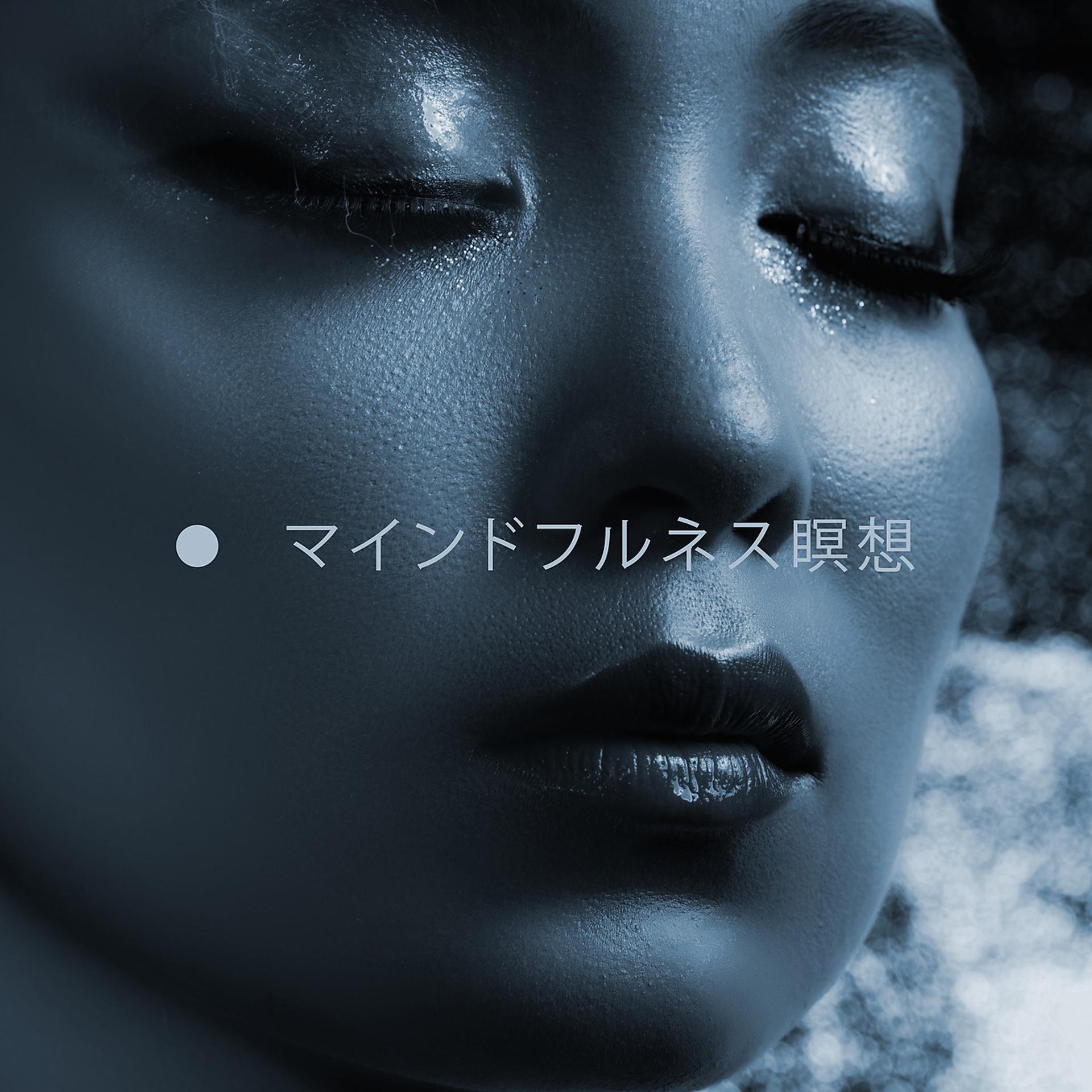 Постер альбома マインドフルネス瞑想