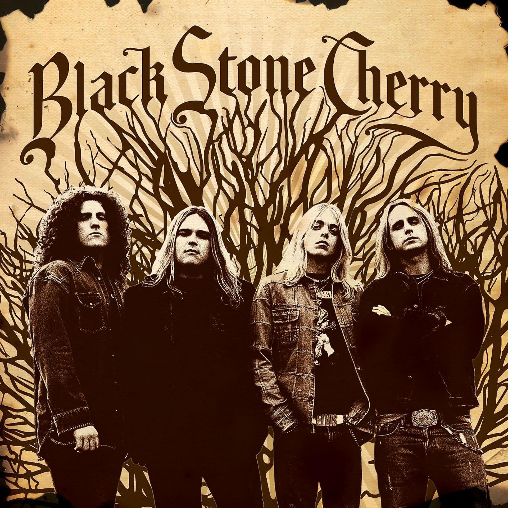 Постер альбома Black Stone Cherry (Special Edition)