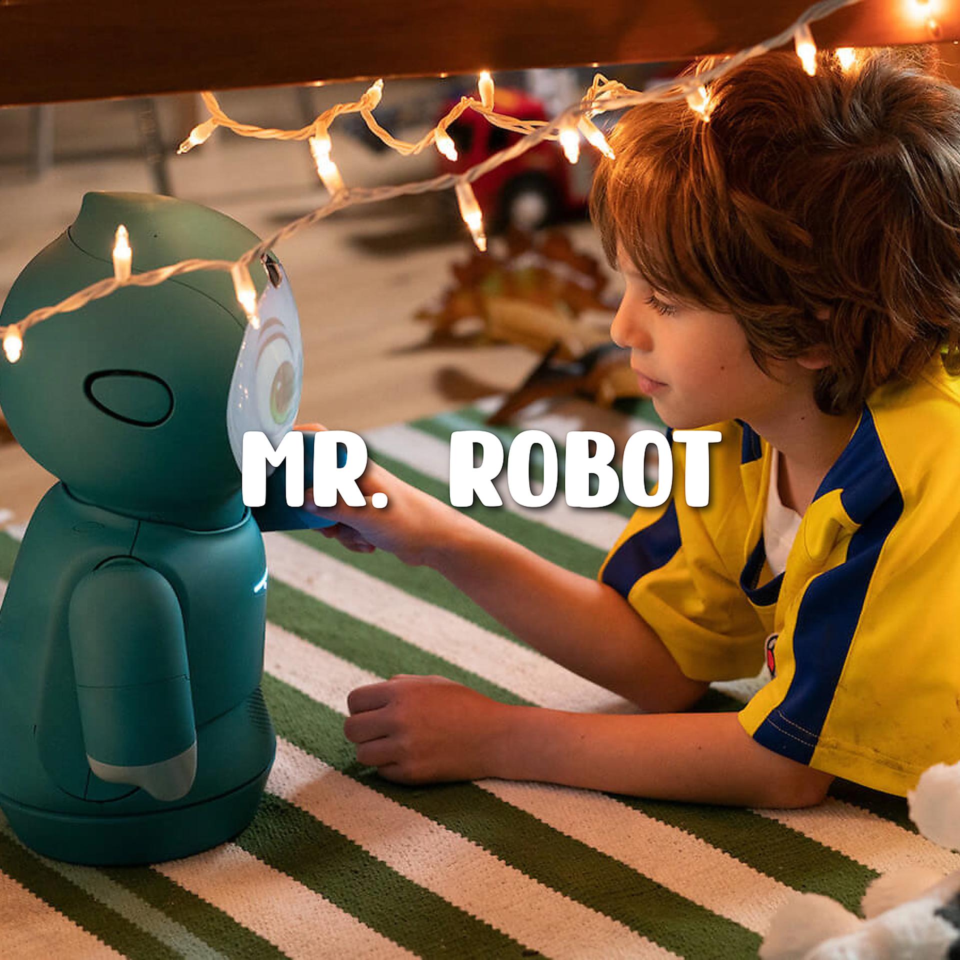 Постер альбома Mr.Robot