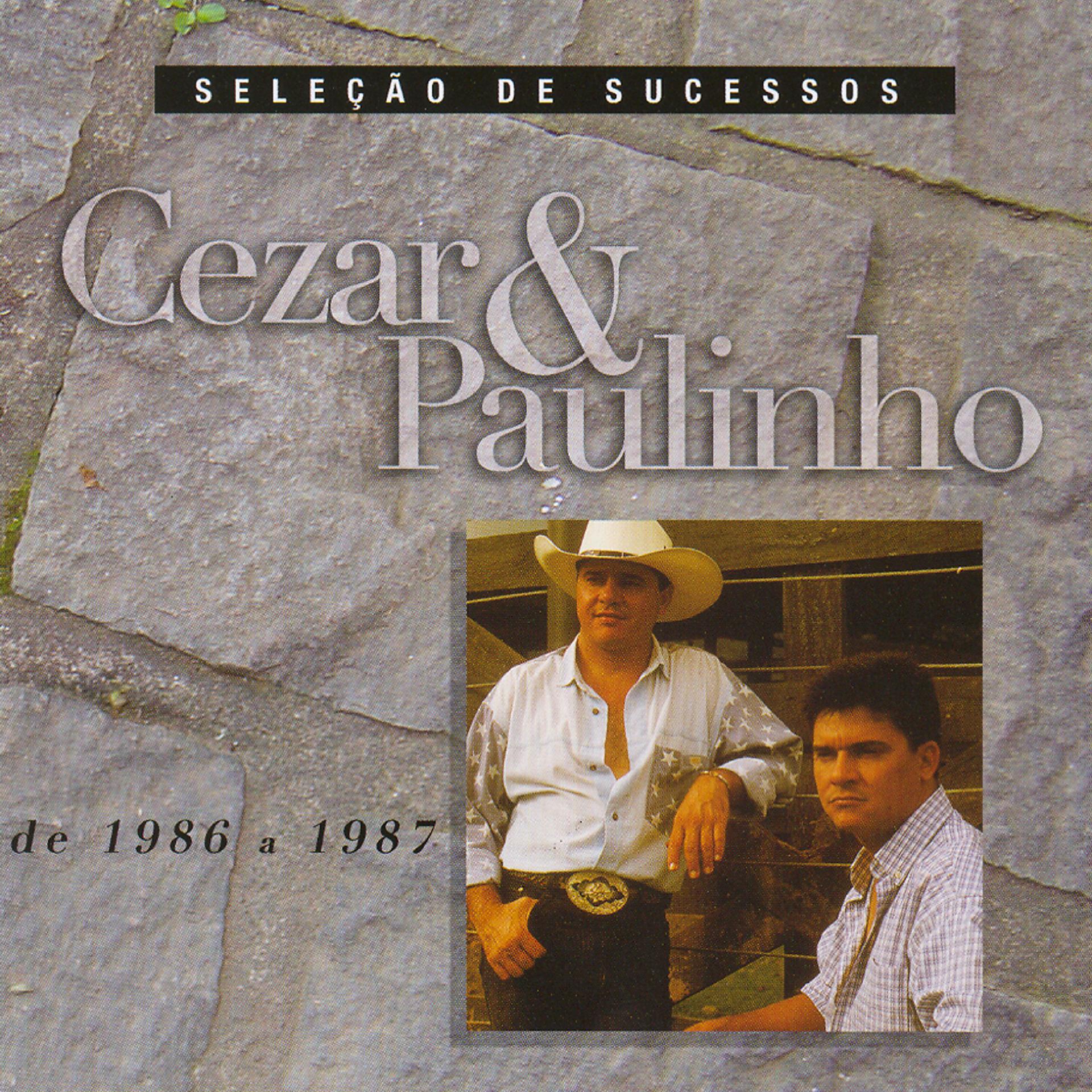 Постер альбома Seleção de Sucessos - 1986 / 1987