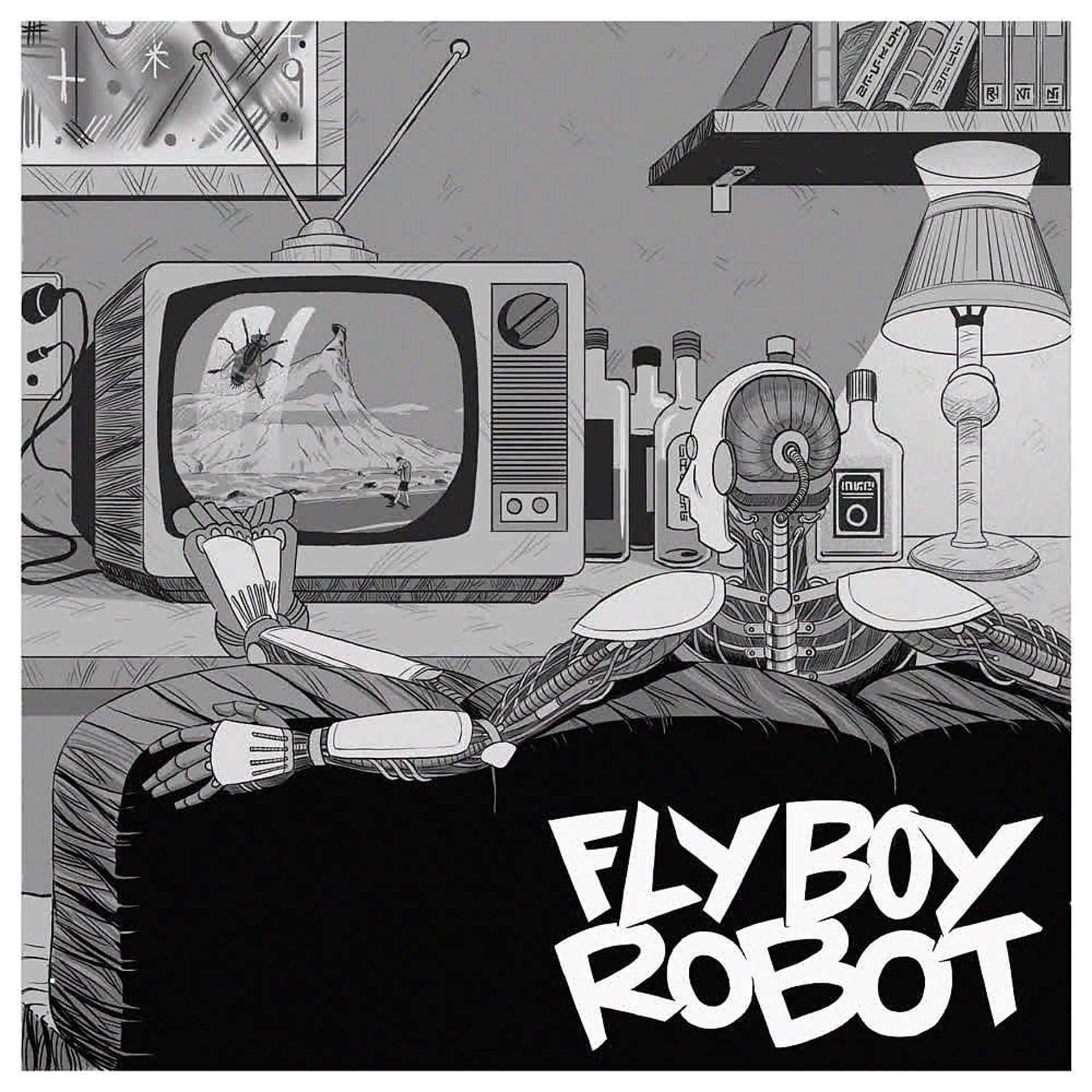 Постер альбома FLY BOY ROBOT