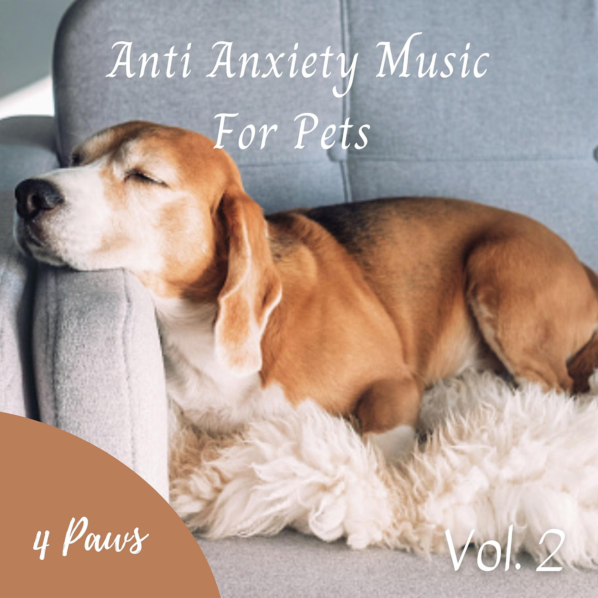 Постер альбома Anti Anxiety Music For Pets Vol. 2