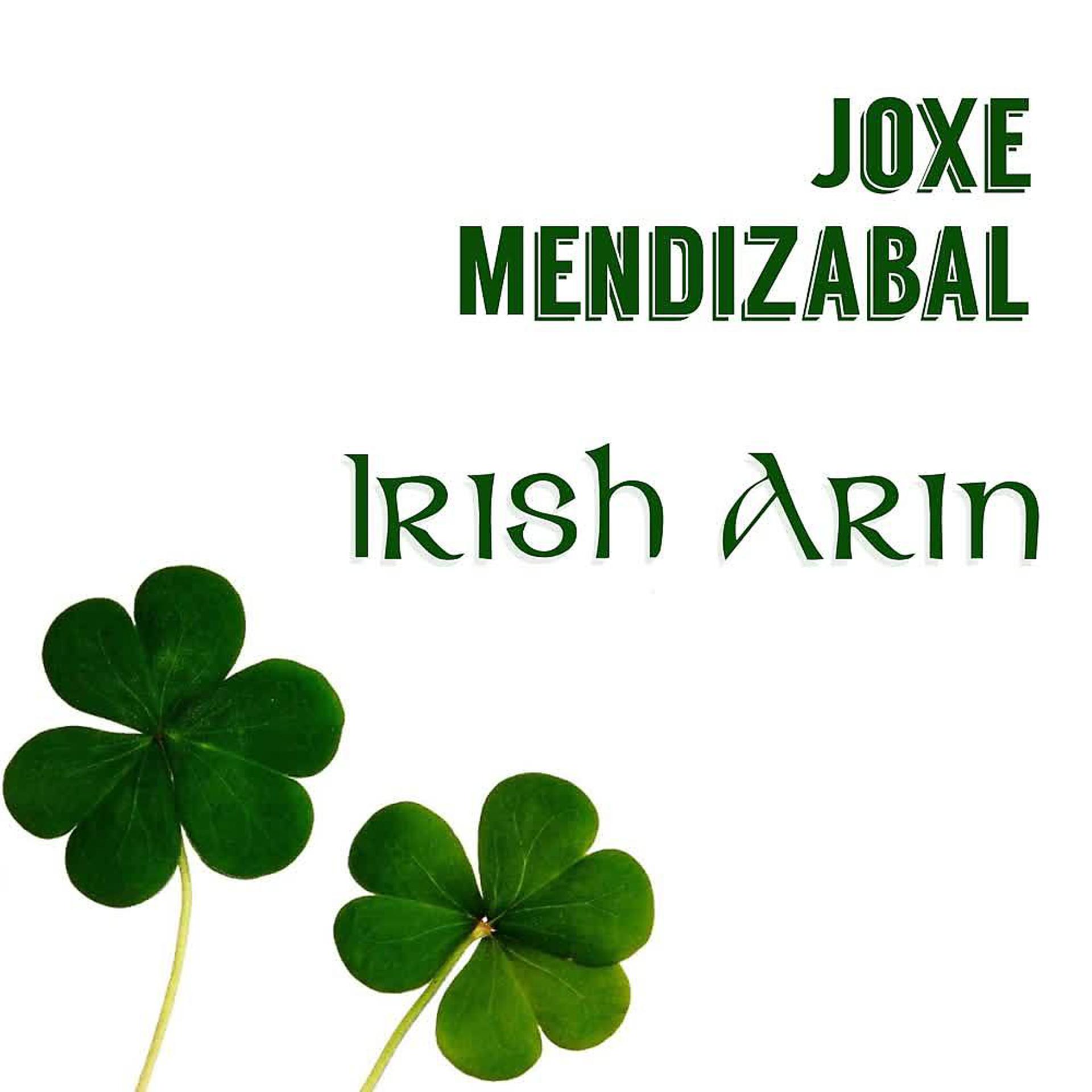 Постер альбома Irish Arin
