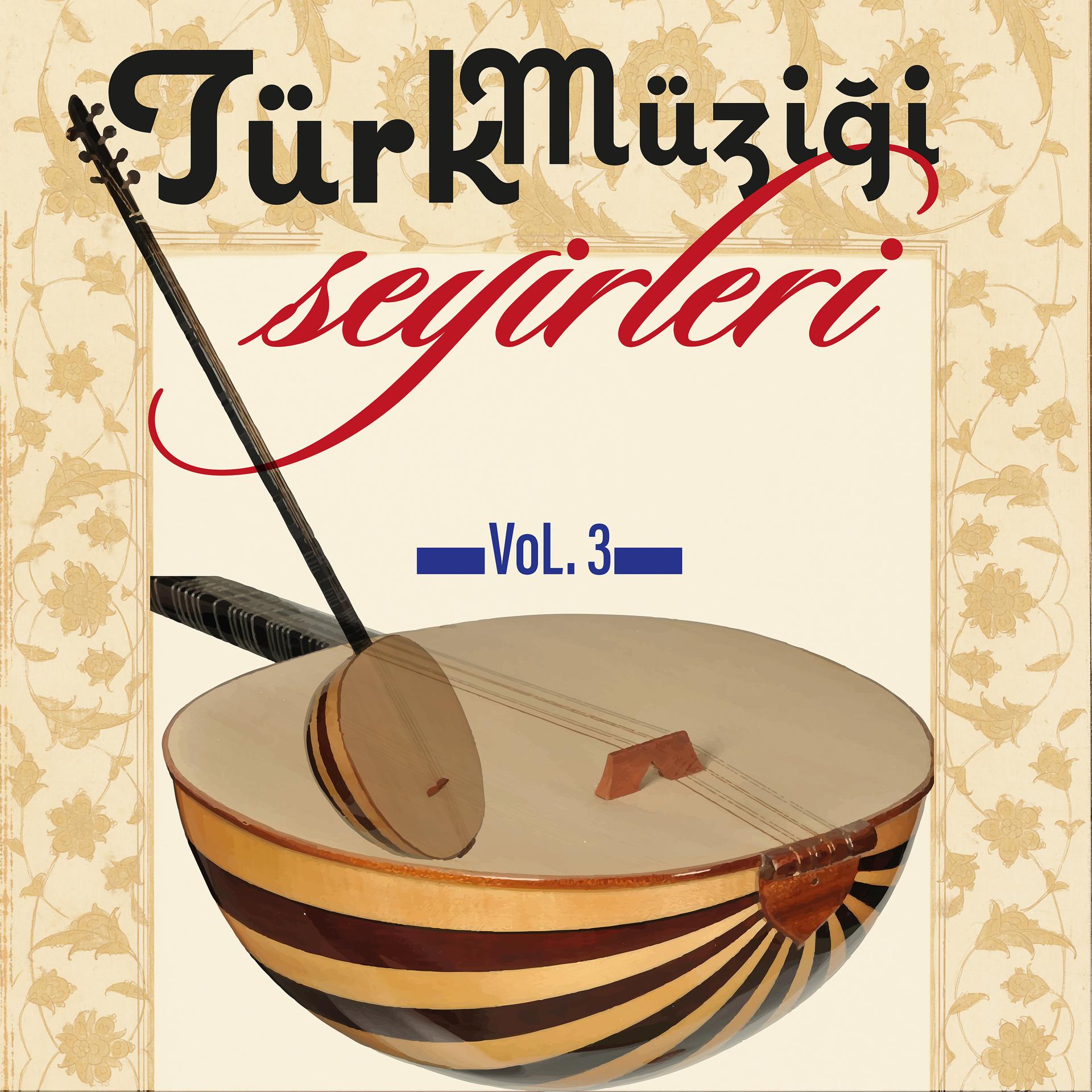 Постер альбома Türk Müziği Seyirleri, Vol. 3
