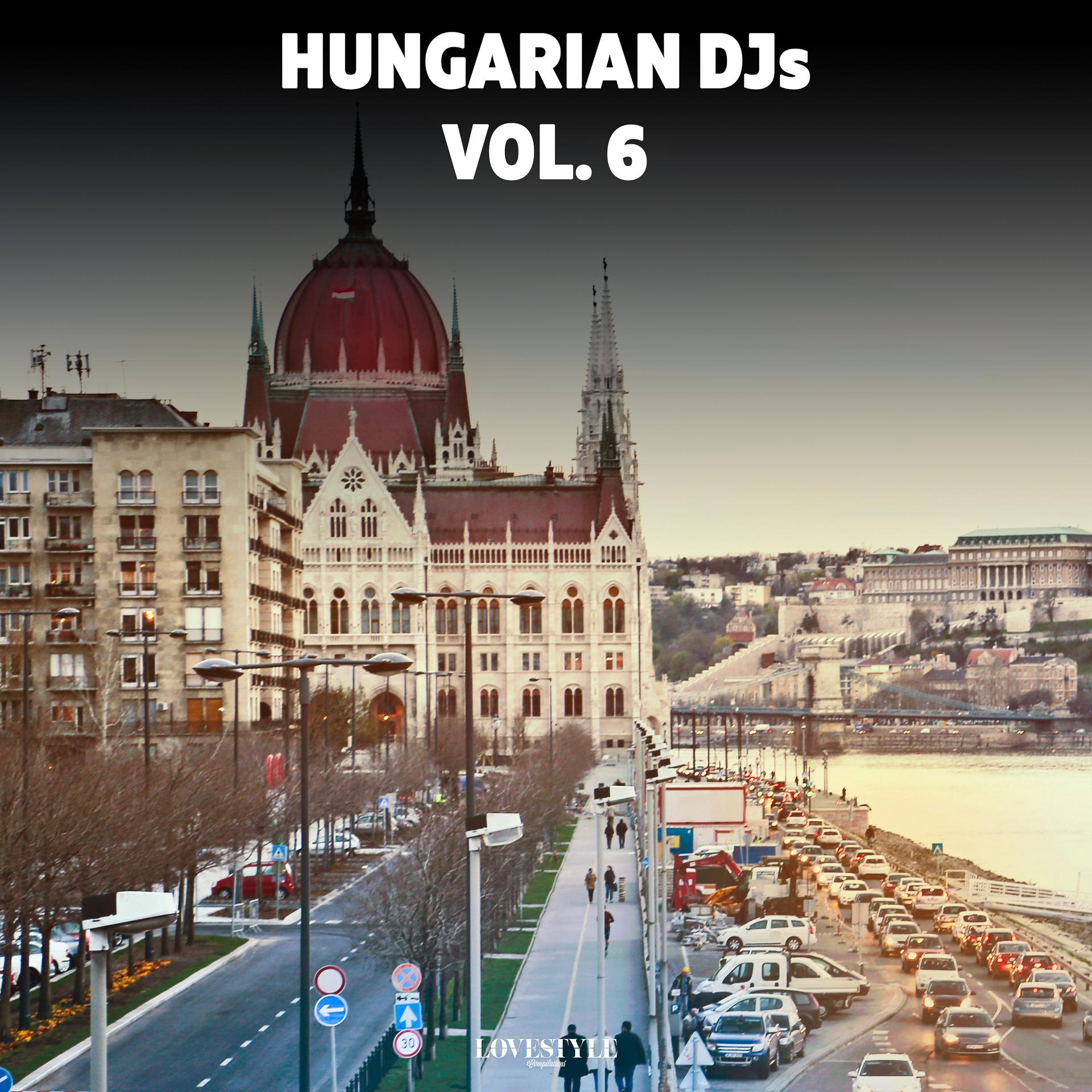 Постер альбома Hungarian Djs Vol. 6