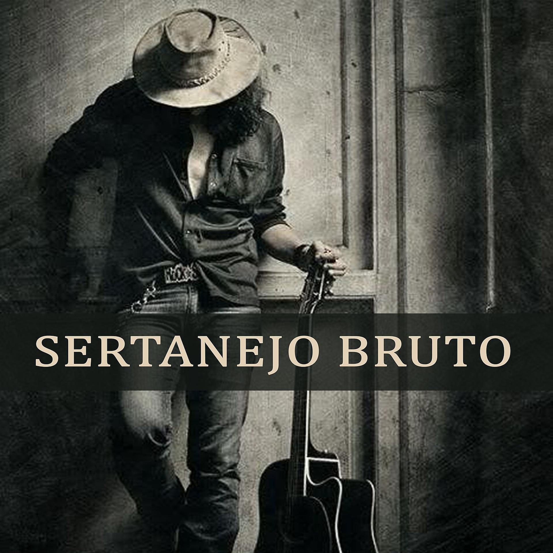 Постер альбома Sertanejo bruto