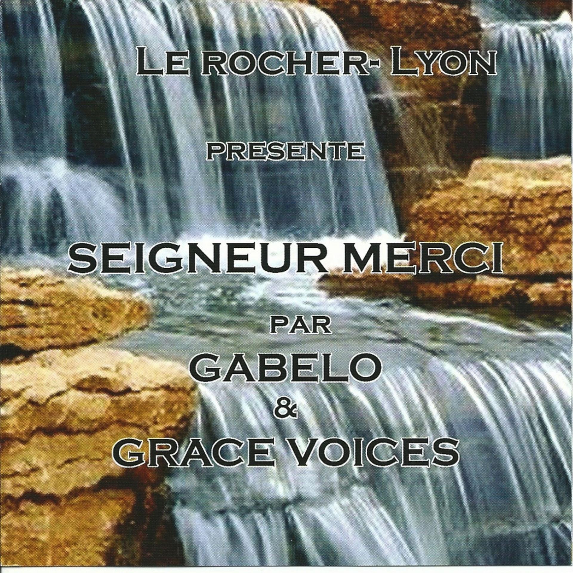 Постер альбома Seigneur merci