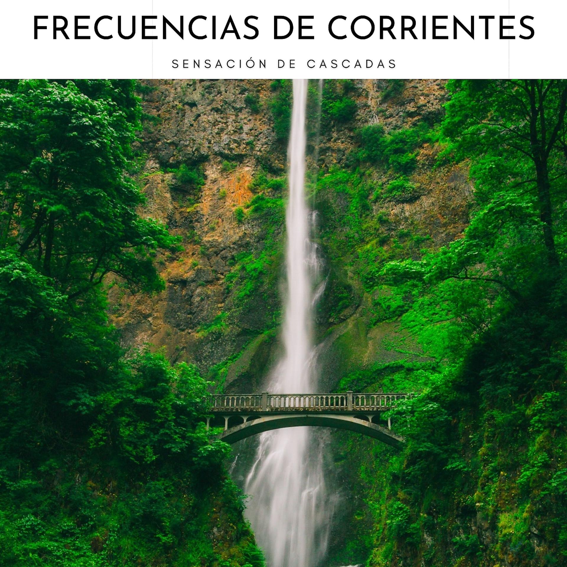 Постер альбома Frecuencias De Corrientes: Sensación De Cascadas