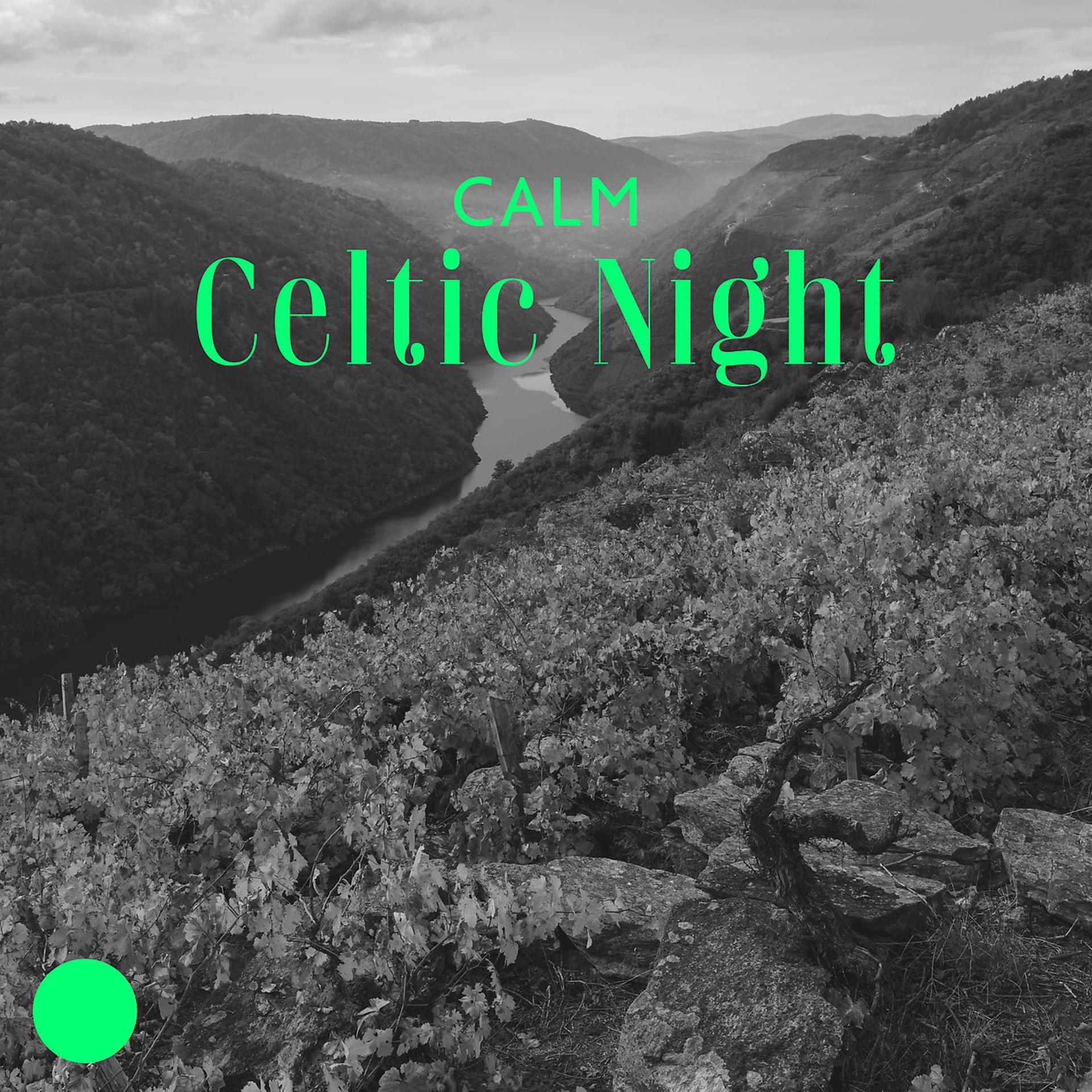 Постер альбома Calm Celtic Night