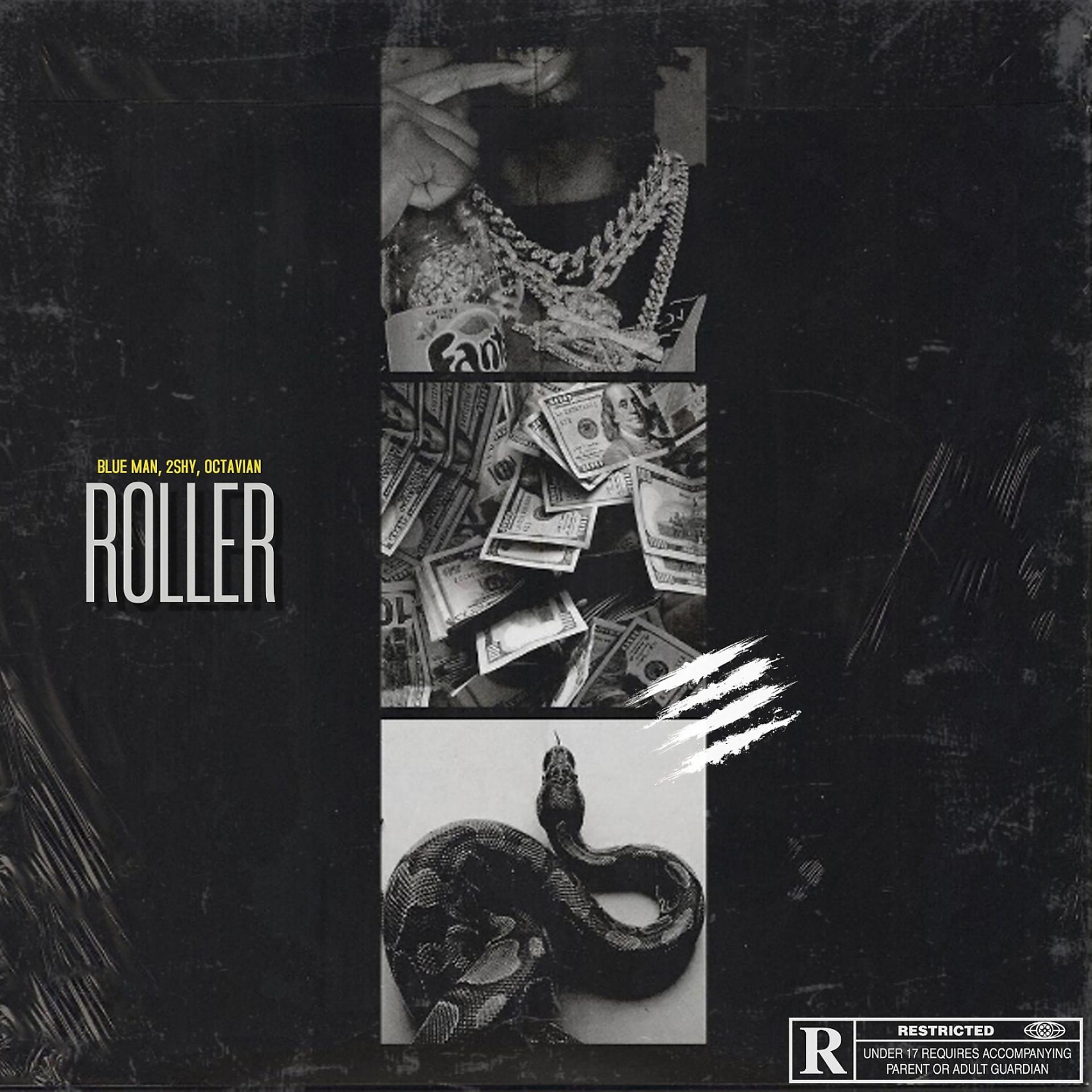 Постер альбома Roller