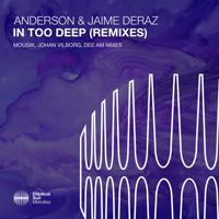 Постер альбома In Too Deep (Remixes)