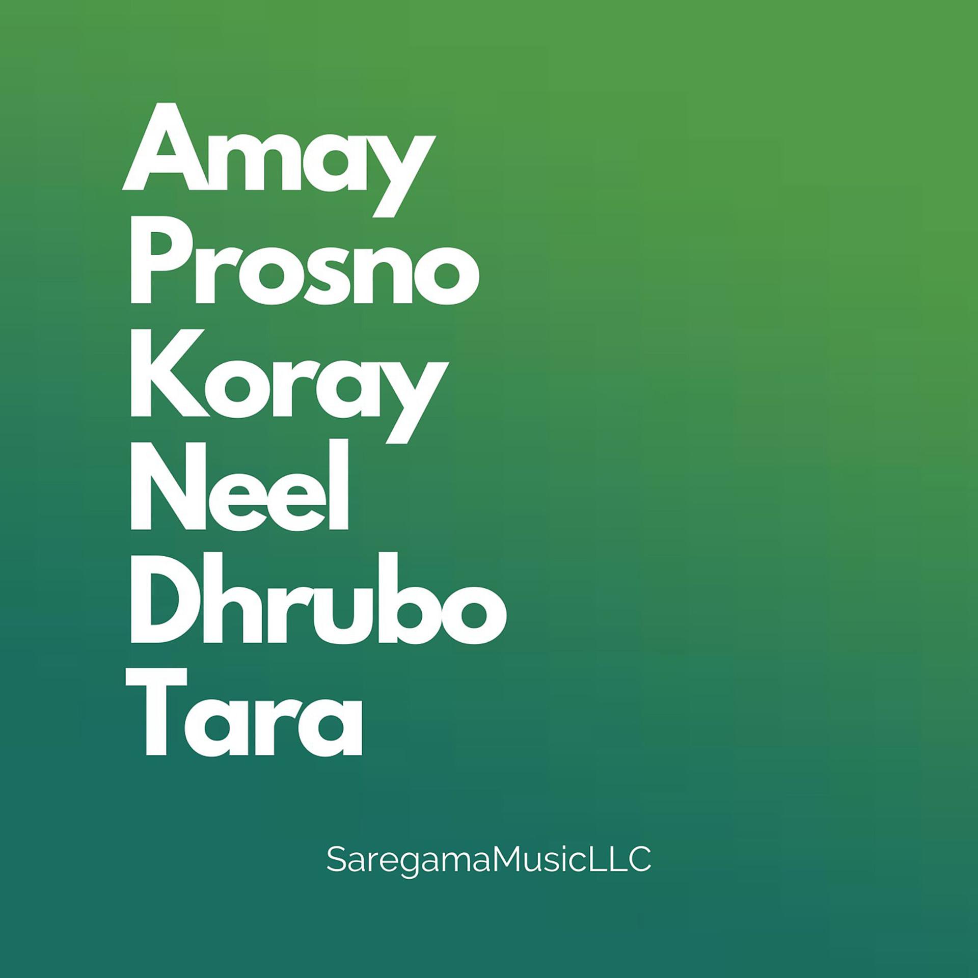 Постер альбома Amay Prosno Koray Neel Dhrubo Tara