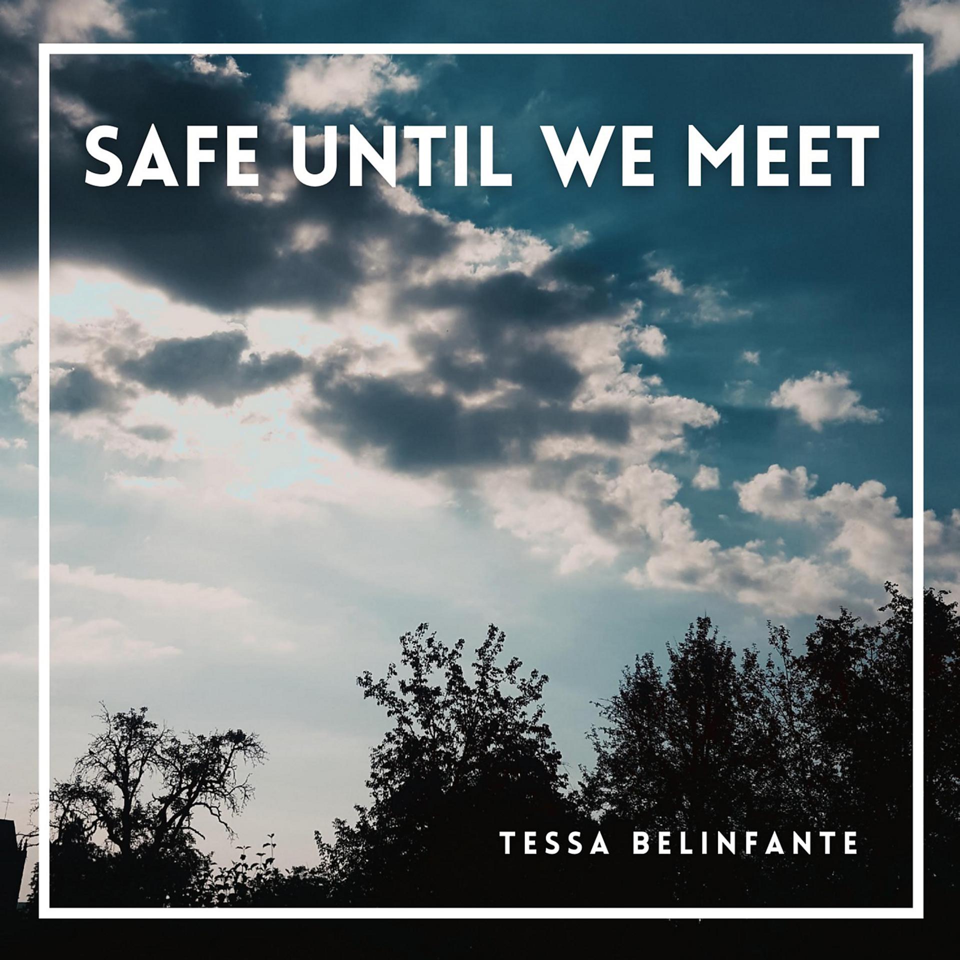 Постер альбома Safe Until We Meet