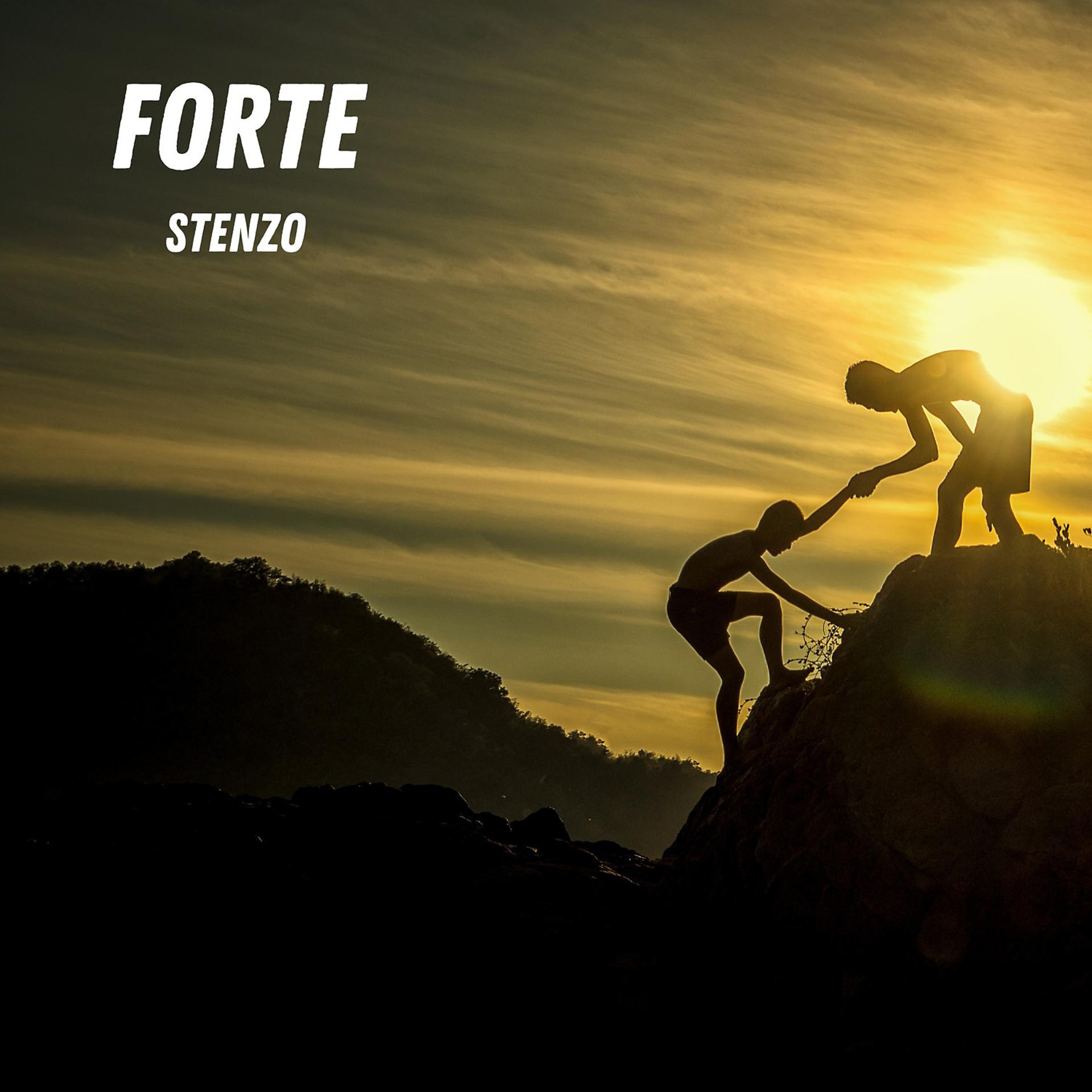 Постер альбома Forte