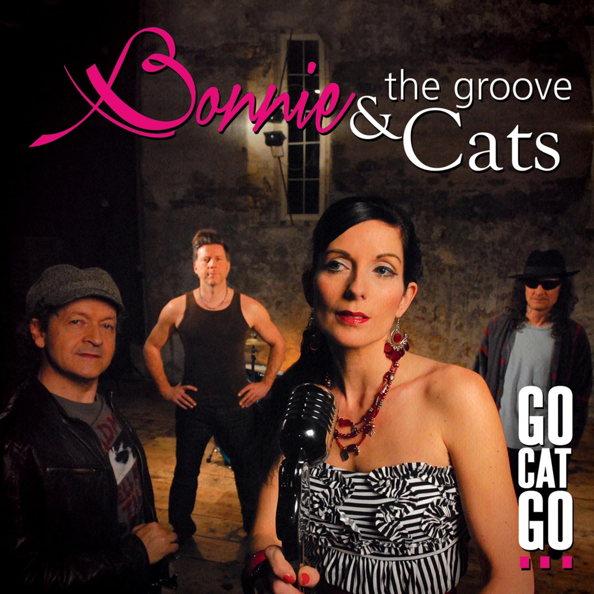 Постер альбома Go Cat Go