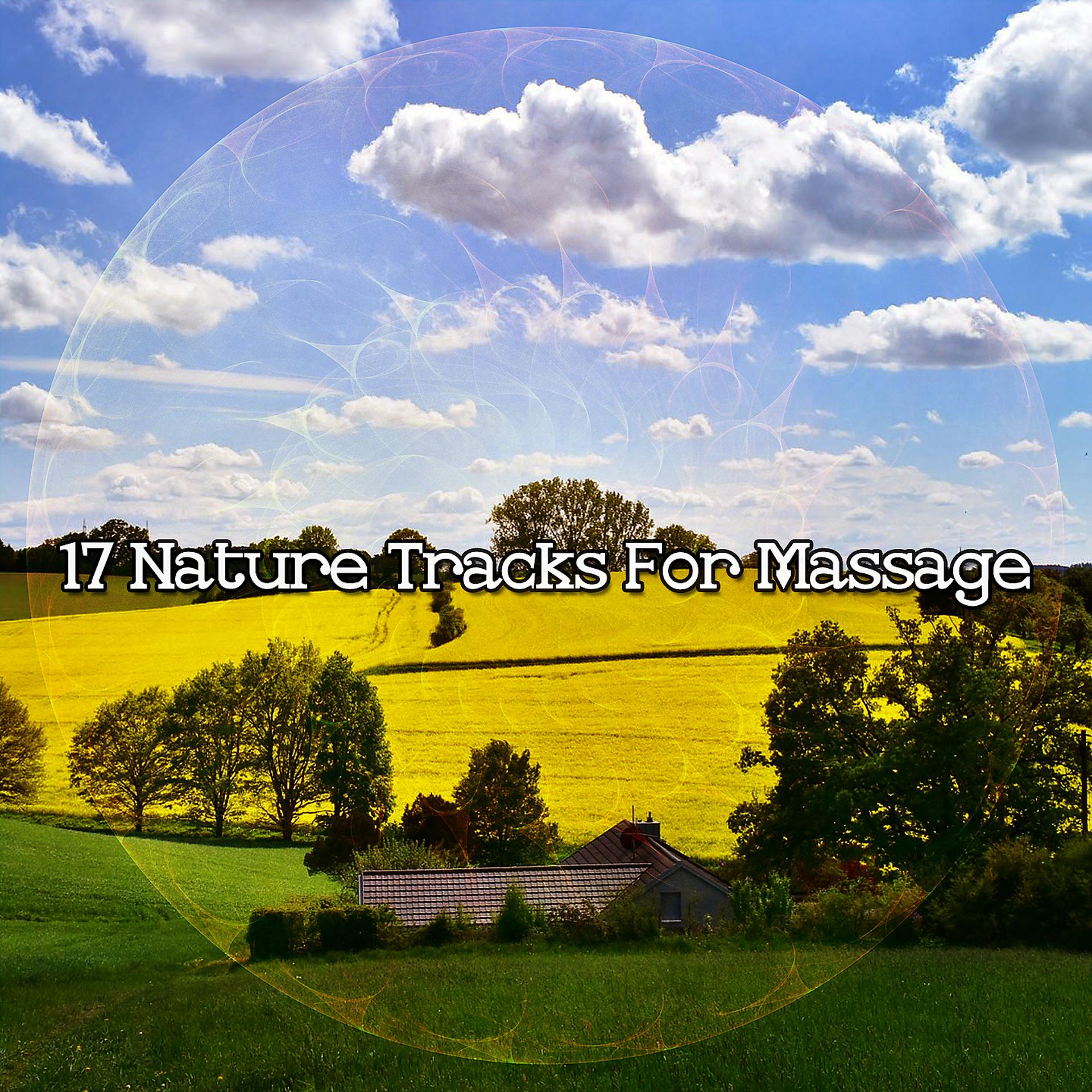 Постер альбома 17 Nature Tracks For Massage