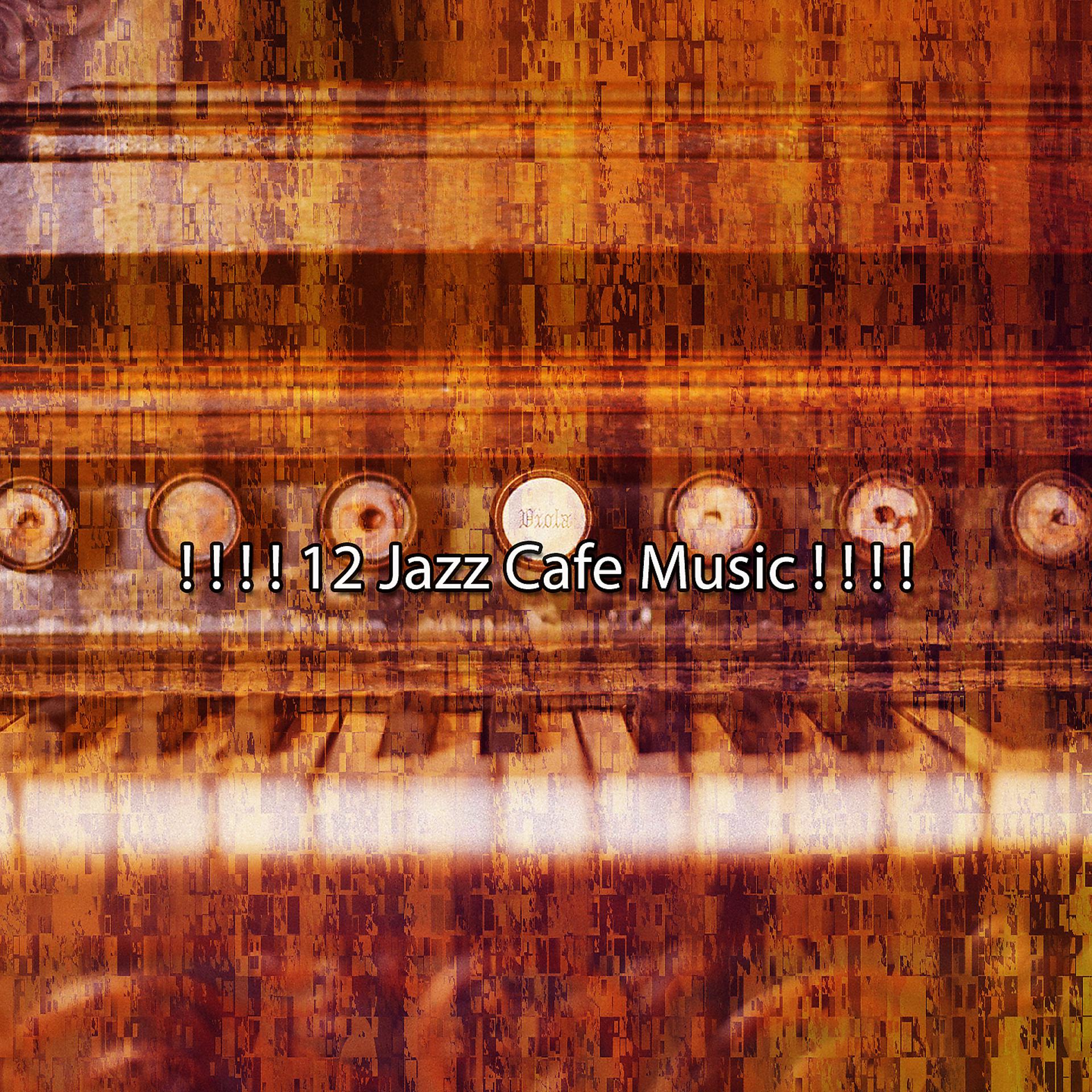 Постер альбома ! ! ! ! 12 Музыка джазового кафе! ! ! !