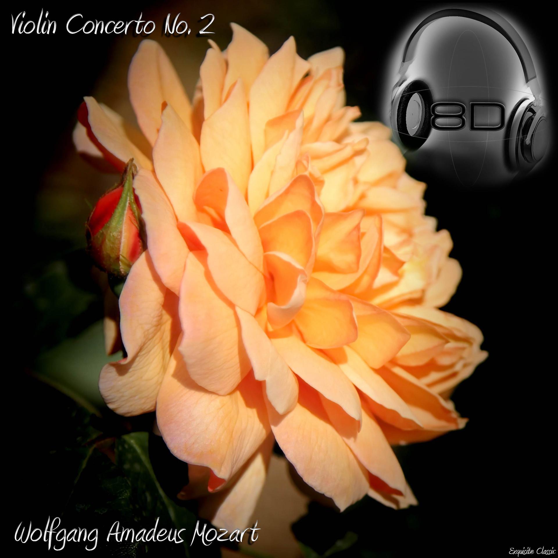 Постер альбома Violin Concerto No. 2 in D major, K. 211 - Wolfgang Amadeus Mozart.wav
