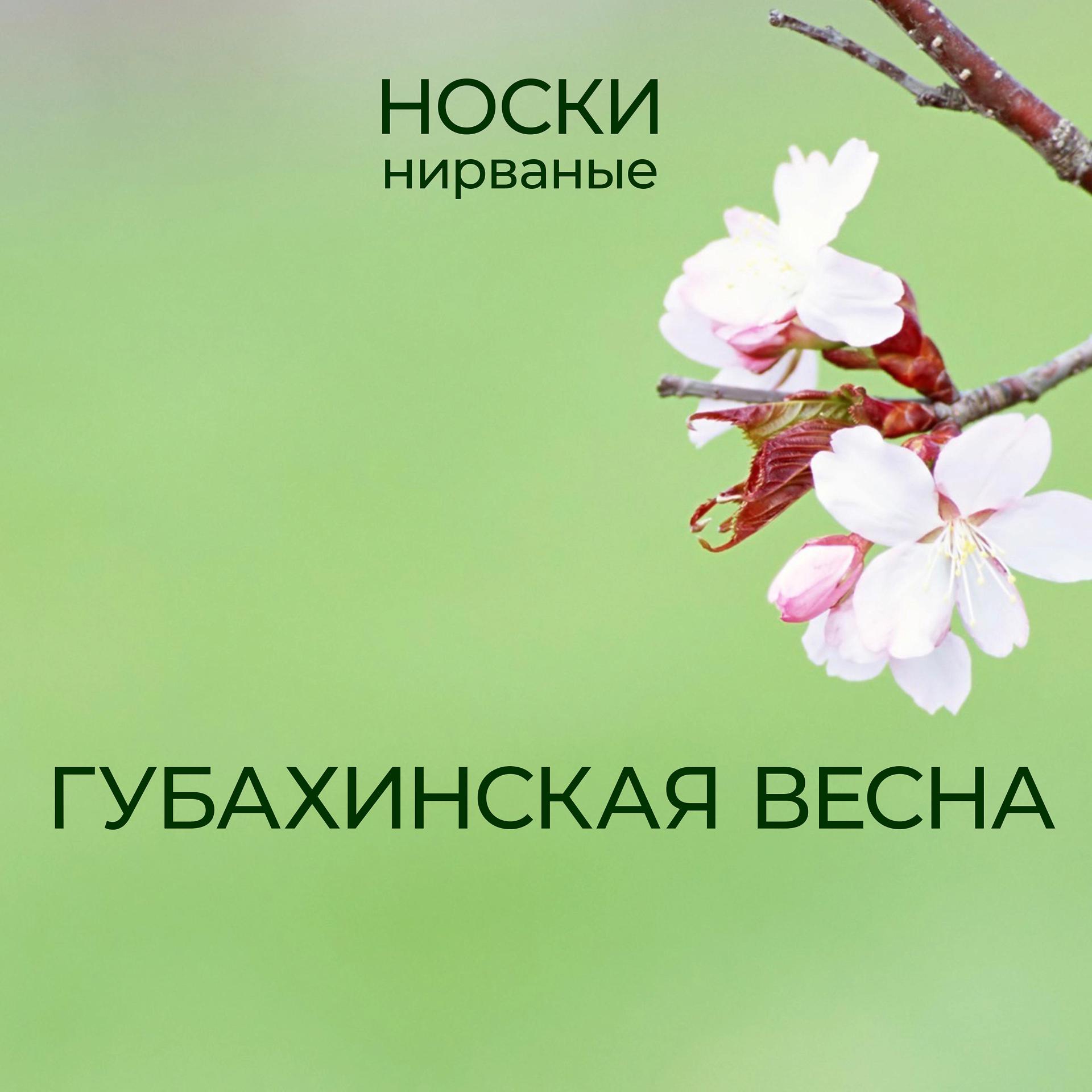 Постер альбома Губахинская весна