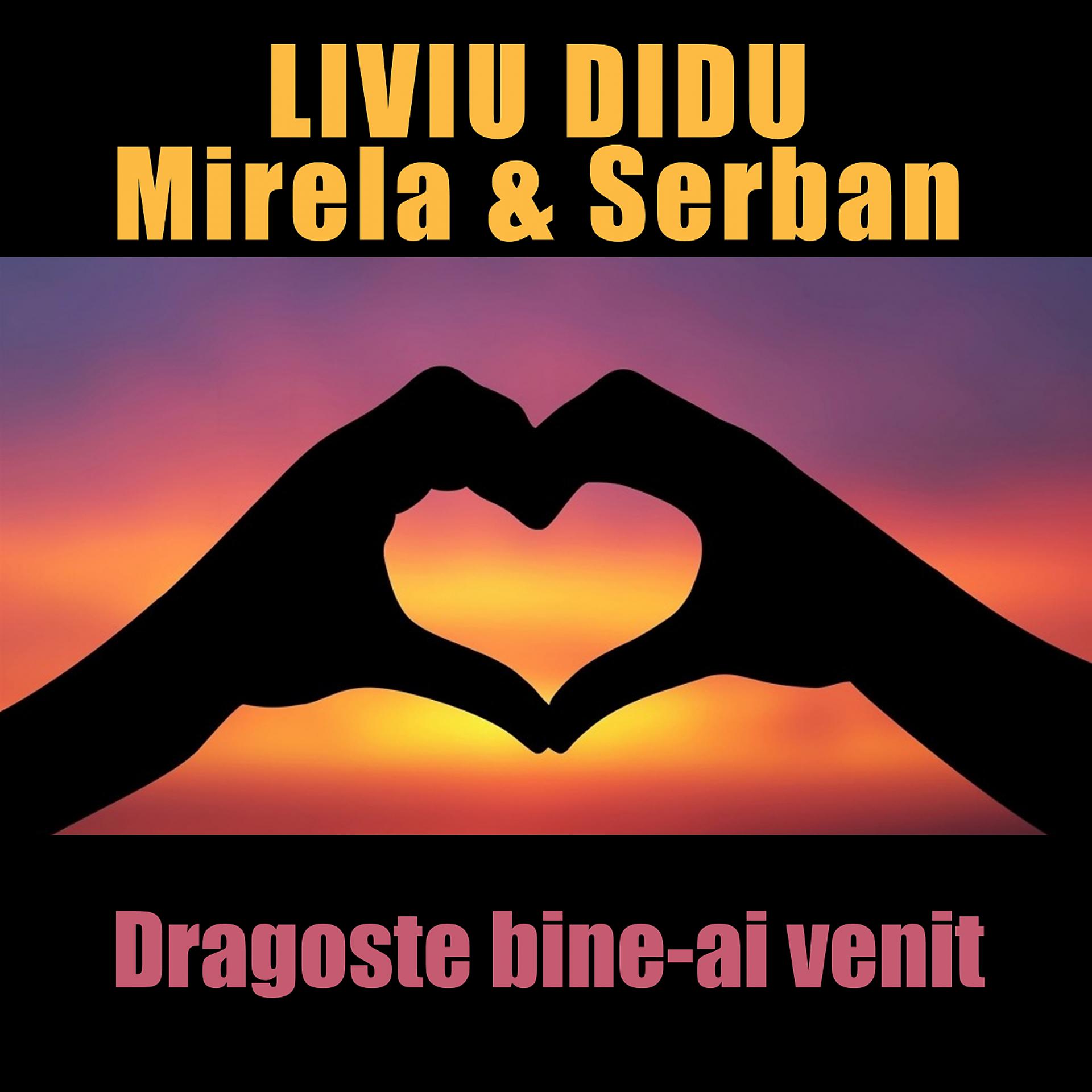 Постер альбома Dragoste bine-ai venit