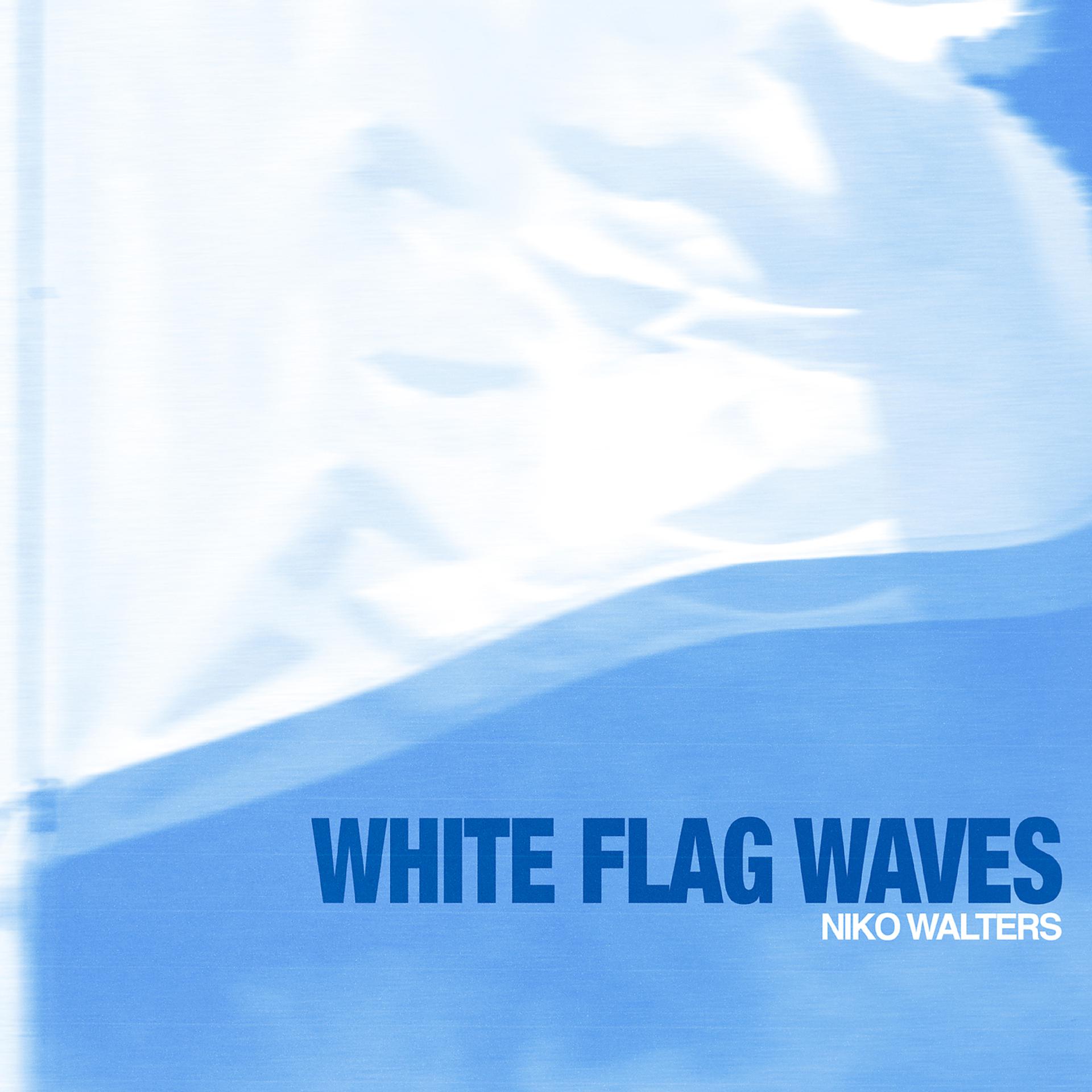 Постер альбома White Flag Waves