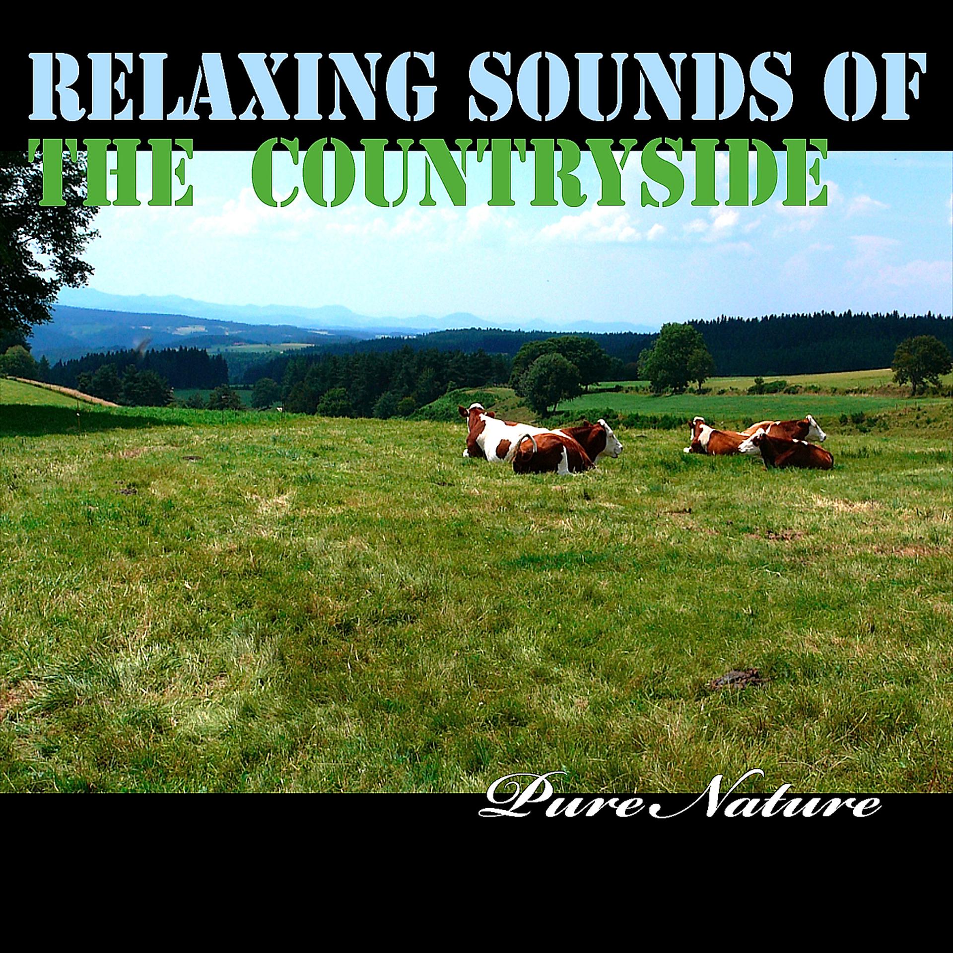 Постер альбома Relaxing Sounds of the Countryside
