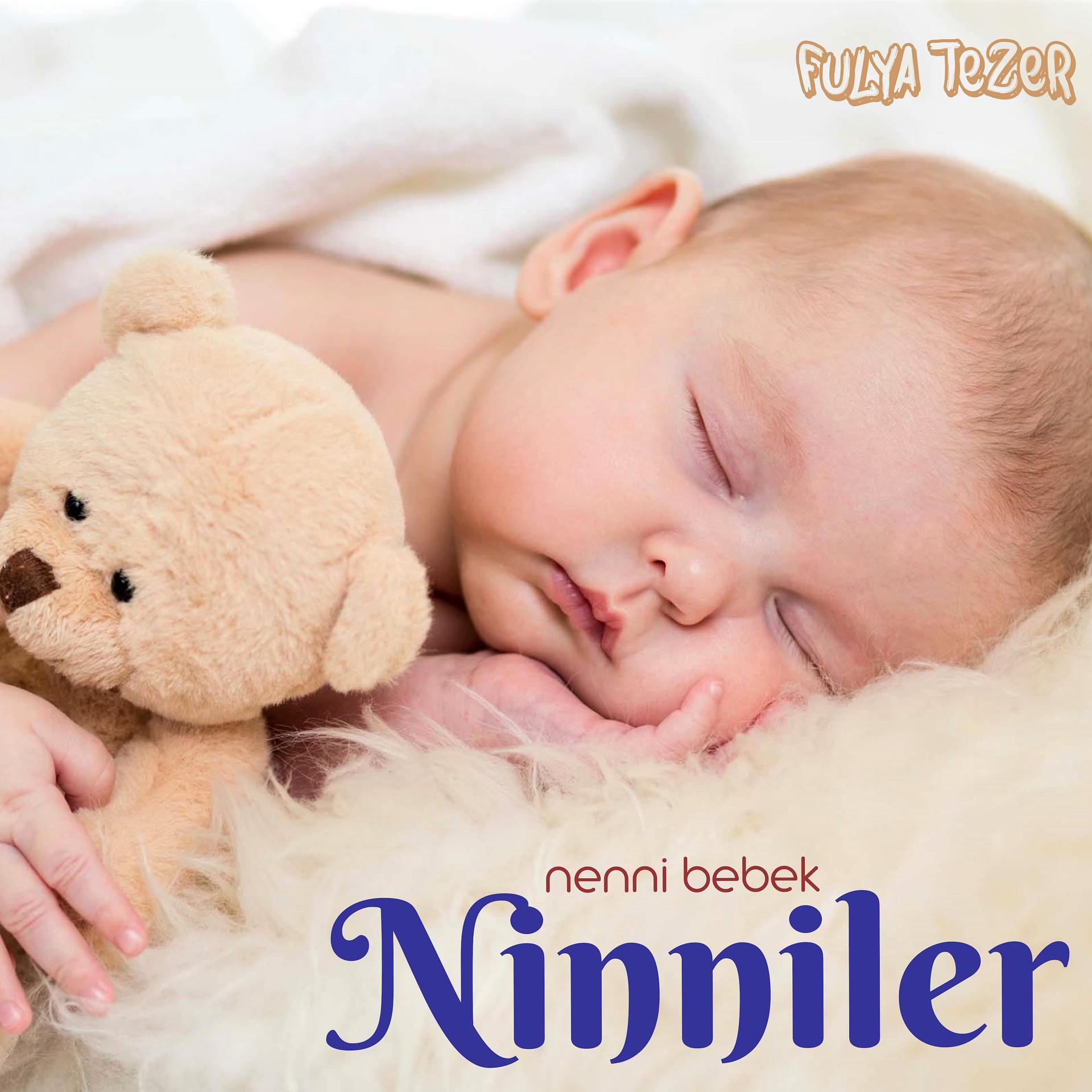 Постер альбома Nenni Bebek / Ninniler