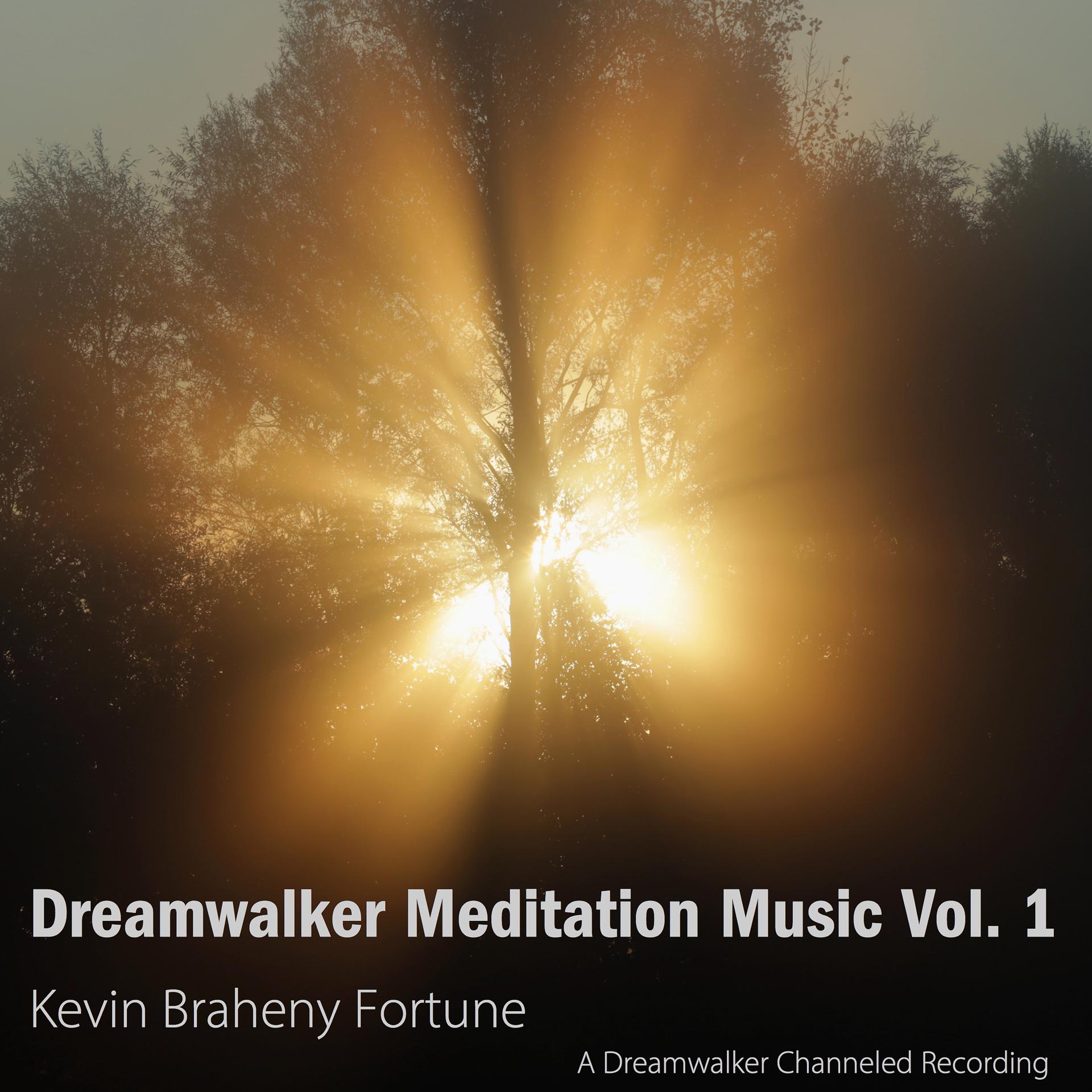 Постер альбома Dreamwalker Meditation Music, Vol. 1