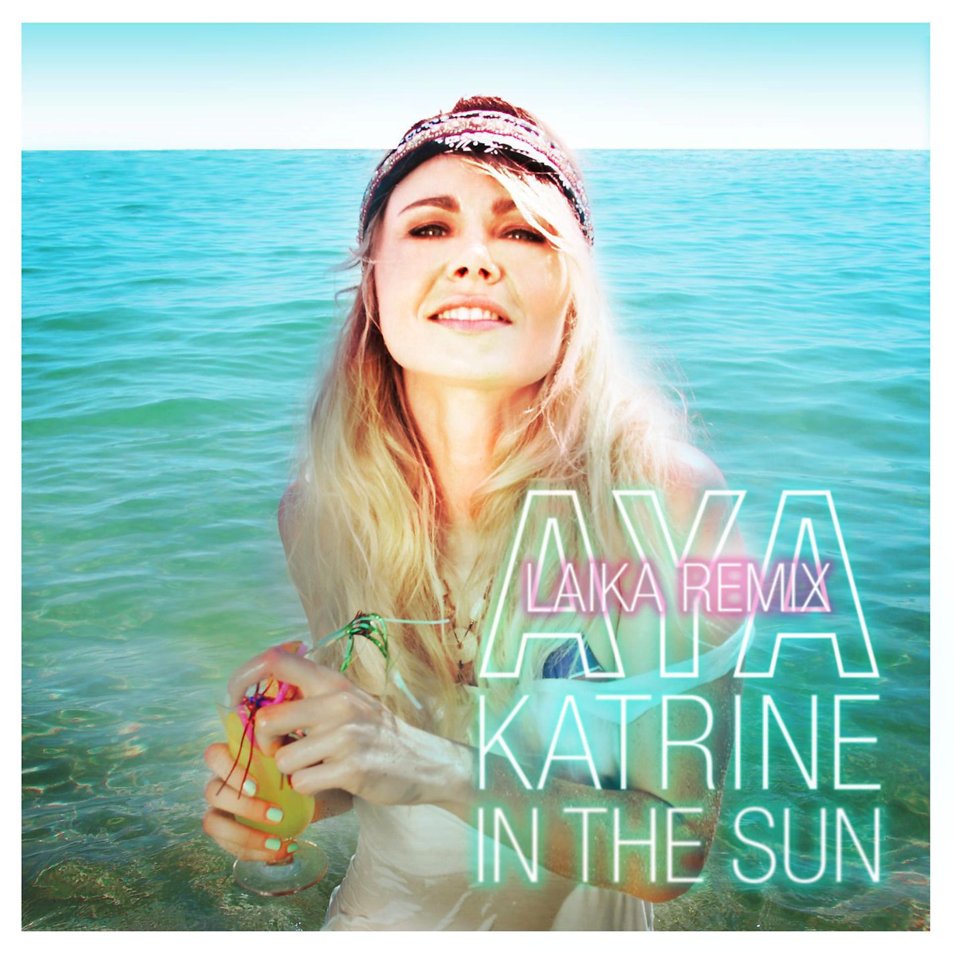 Постер альбома In the Sun (Laika Remix)