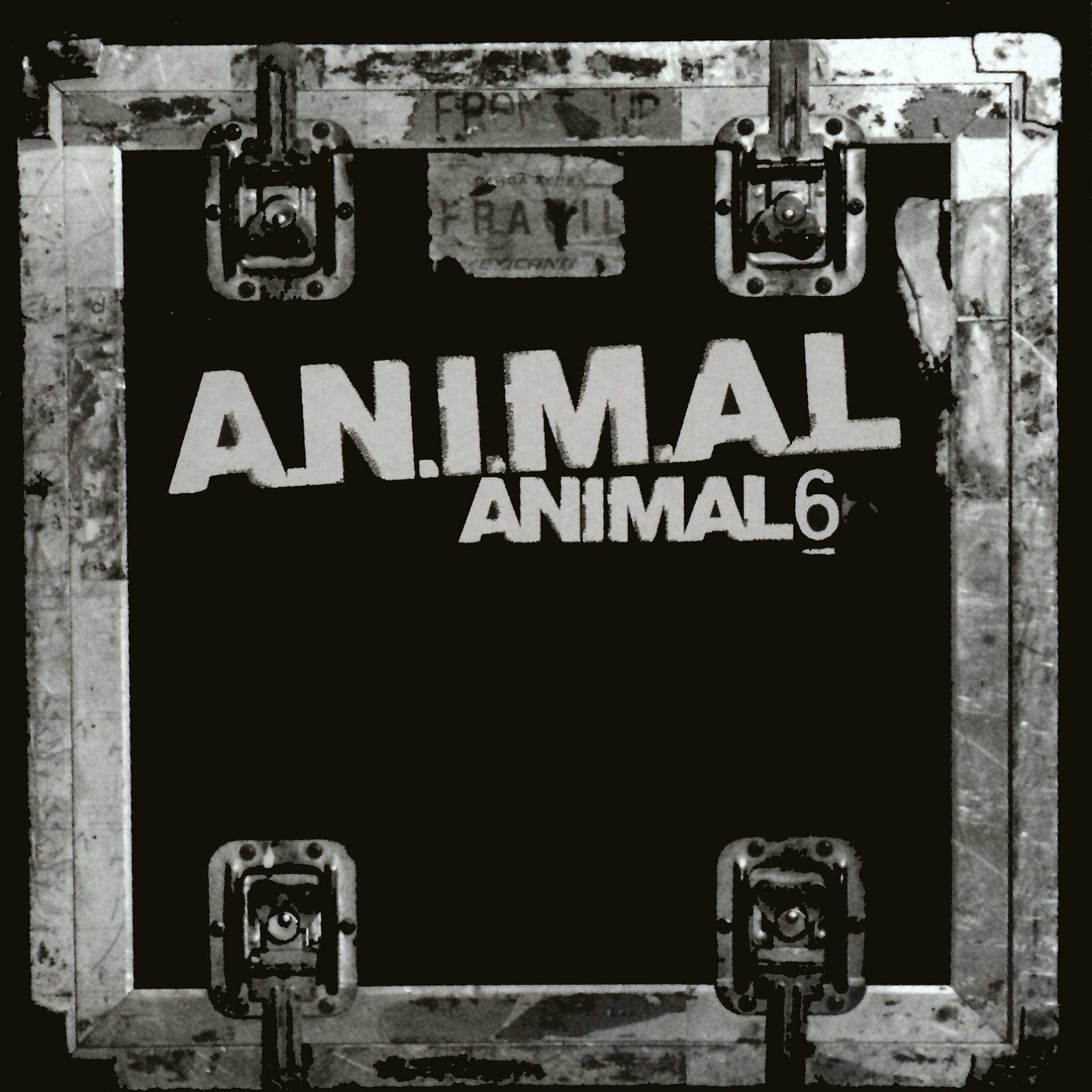 Постер альбома Animal 6