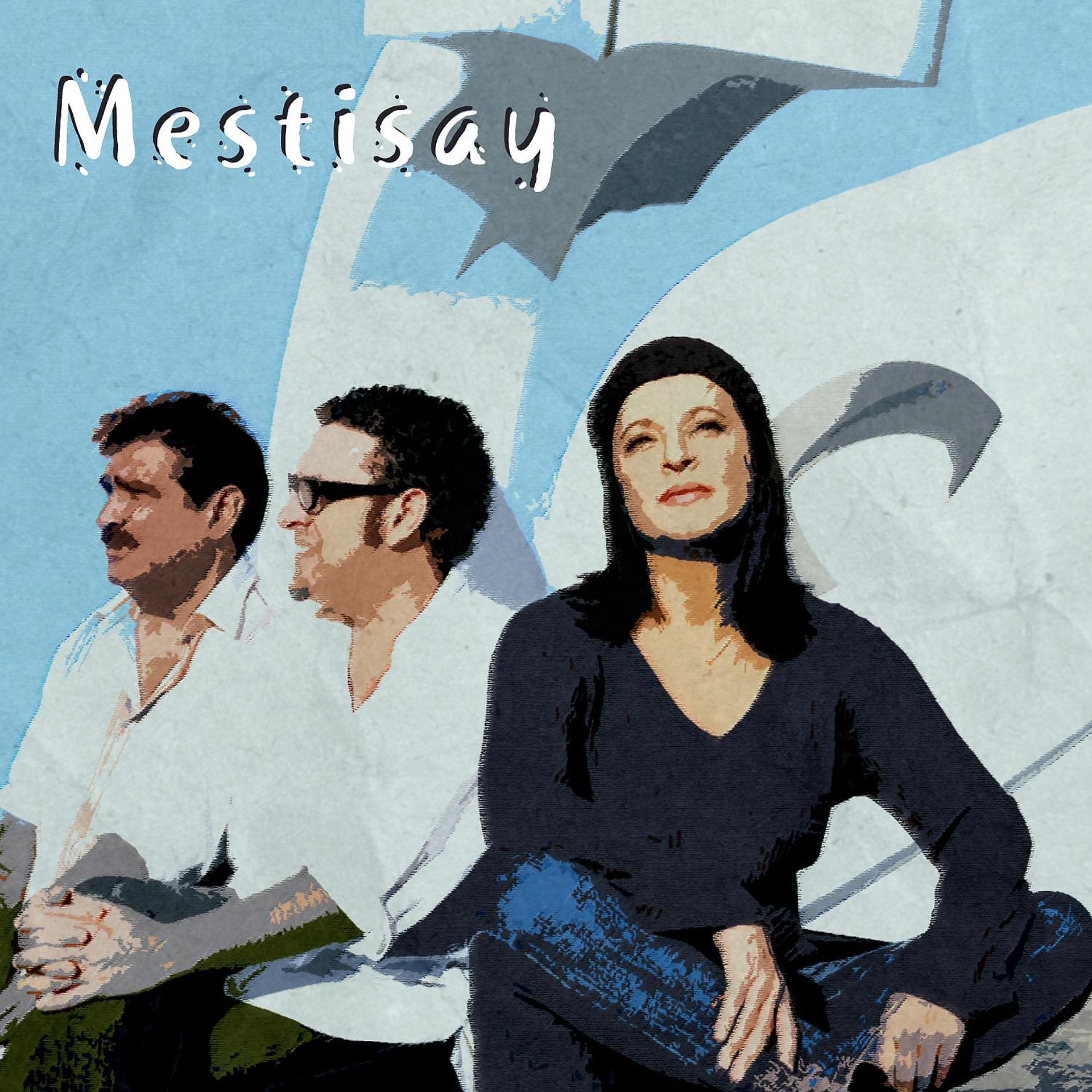 Постер альбома Mestisay