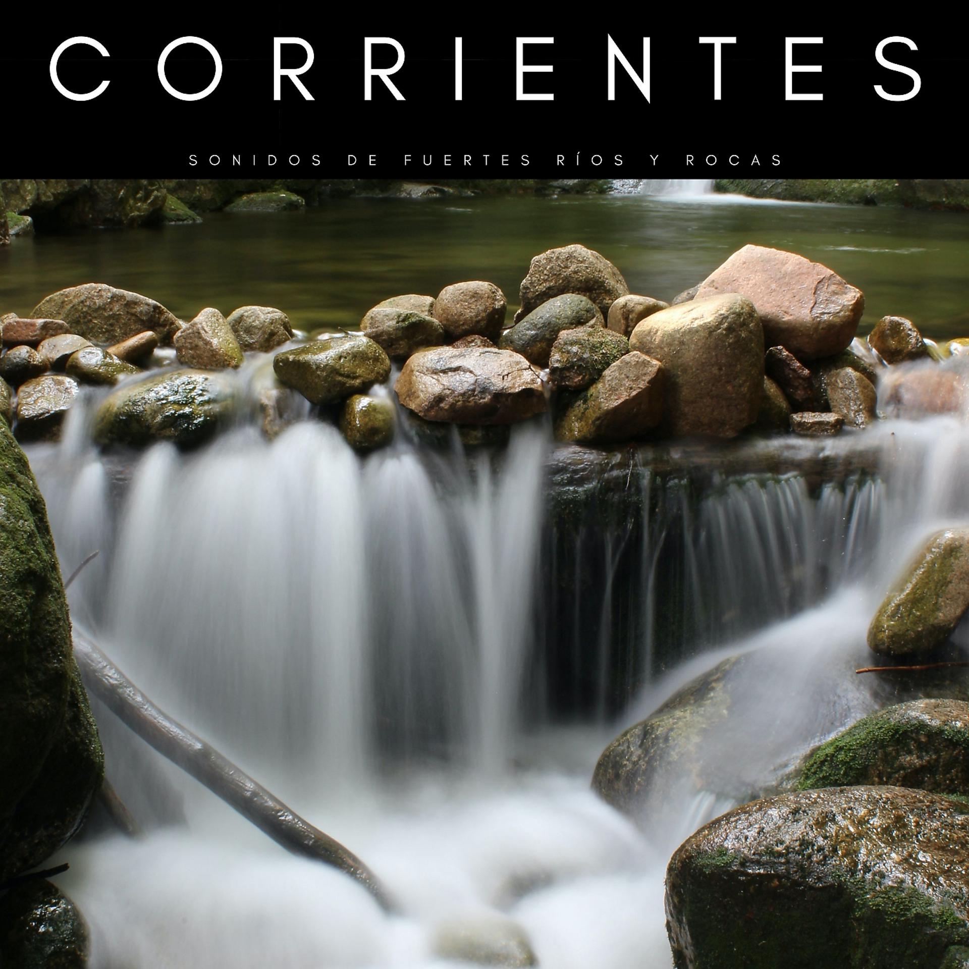 Постер альбома Corrientes: Sonidos De Fuertes Ríos y Rocas