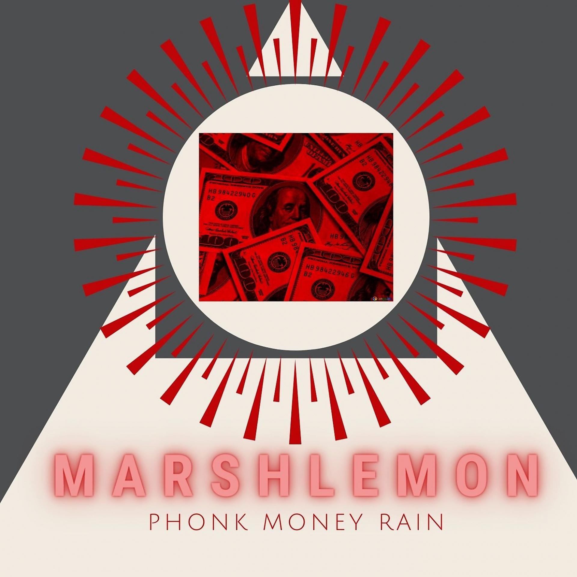 Постер альбома Phonk Money Rain