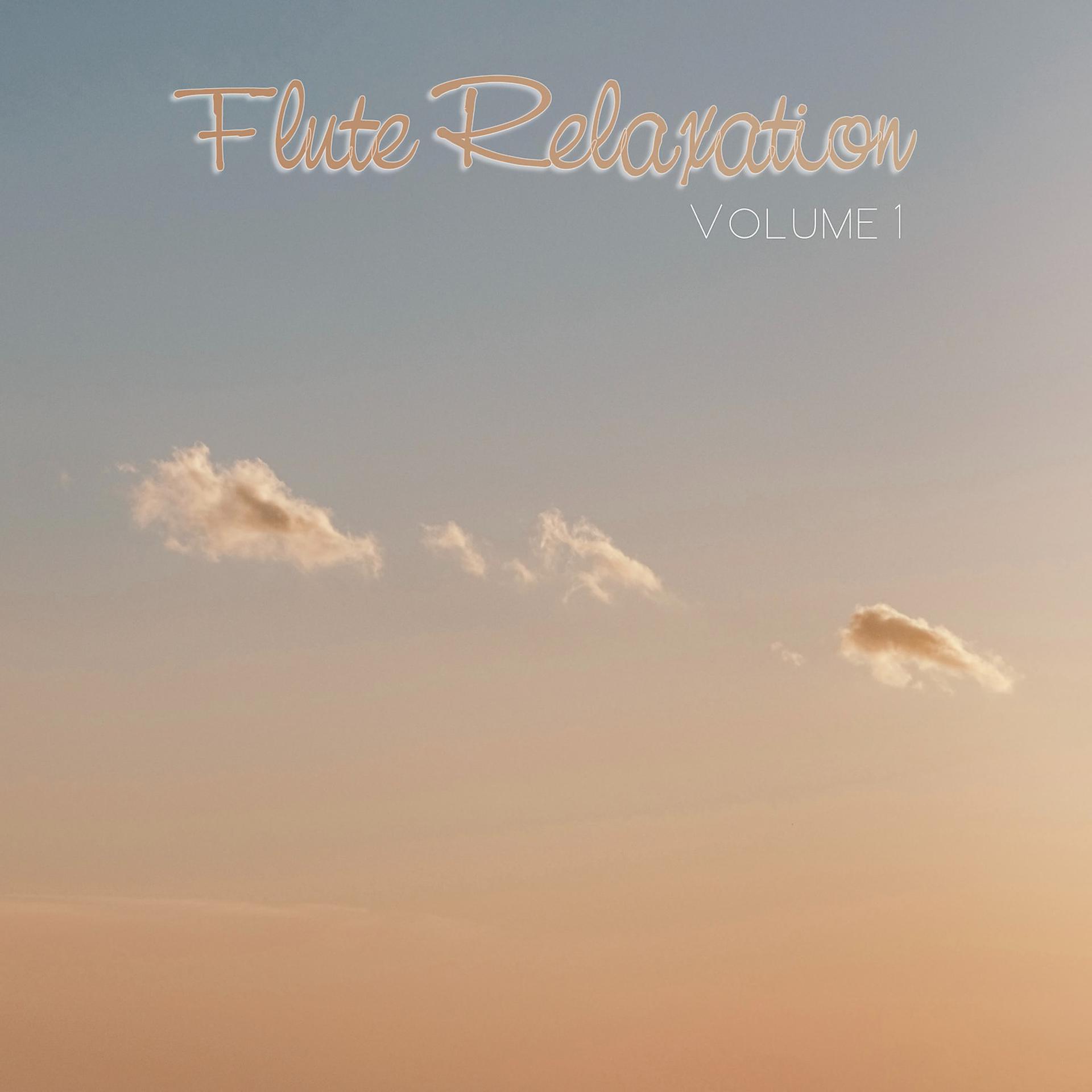 Постер альбома Flute Relaxation, Vol. 1