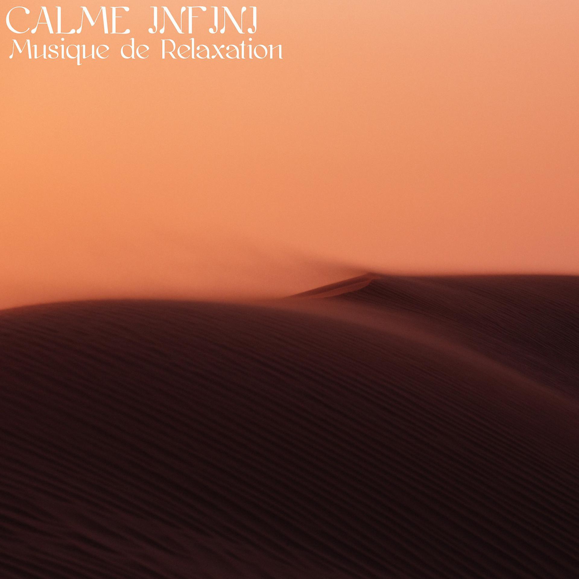 Постер альбома Calme infini (Musique de relaxation)