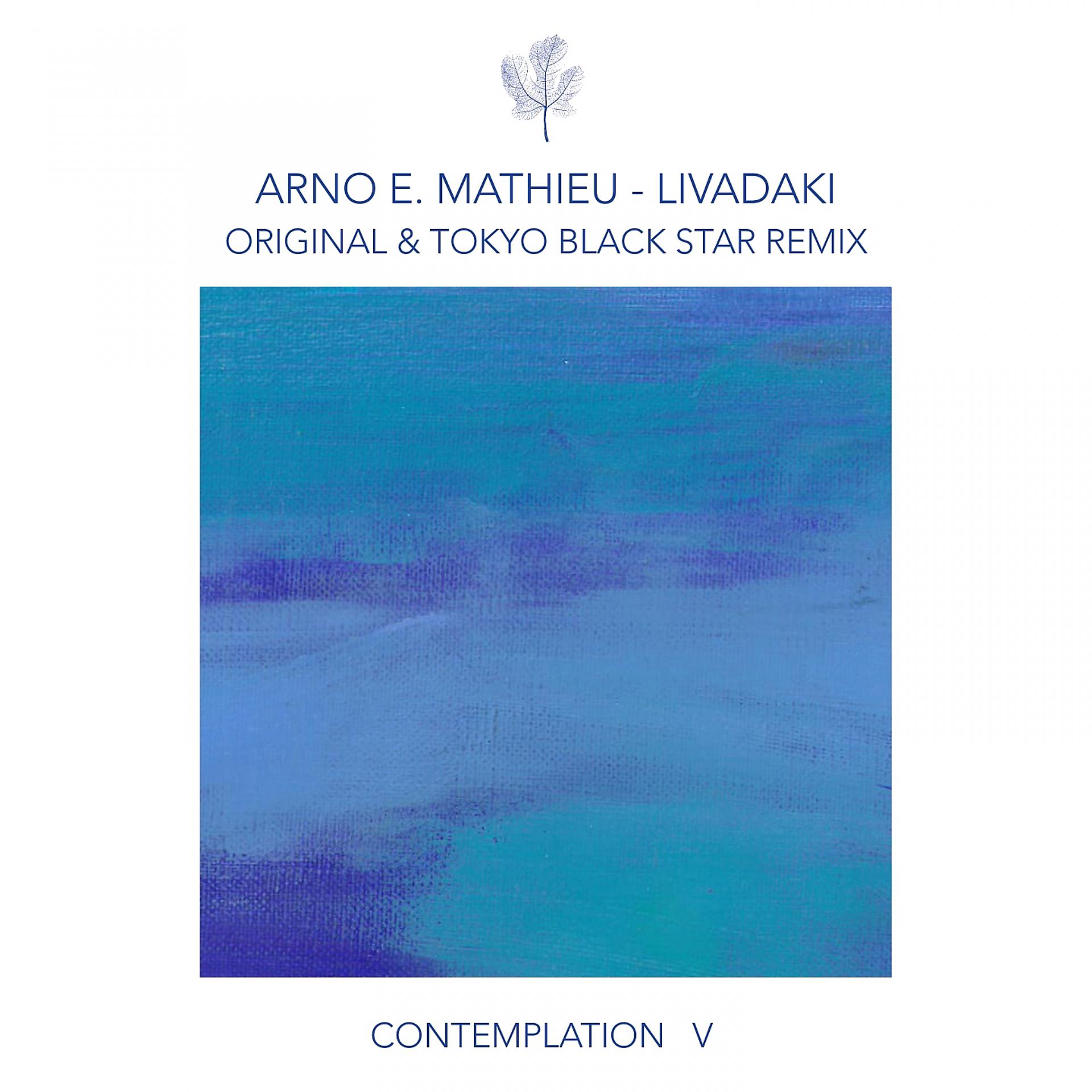Постер альбома Contemplation V - Livadaki