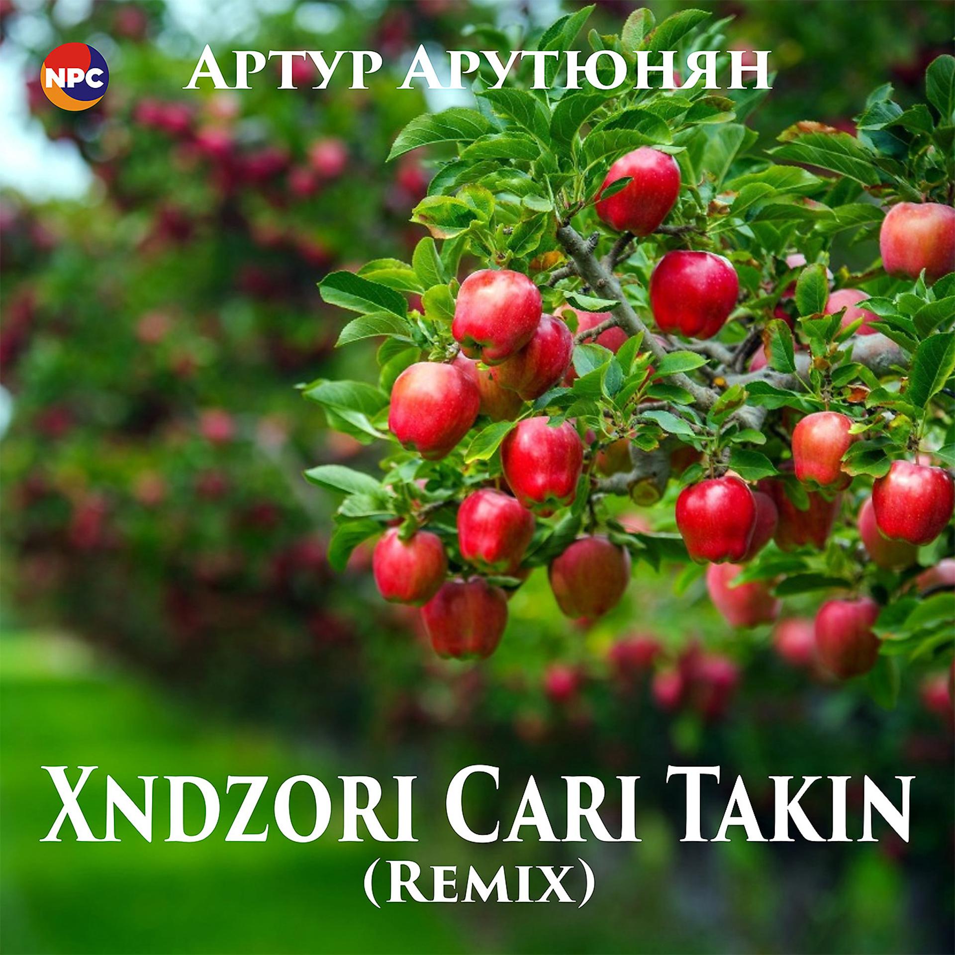 Постер альбома Хndzori Сari Takin (Remix)