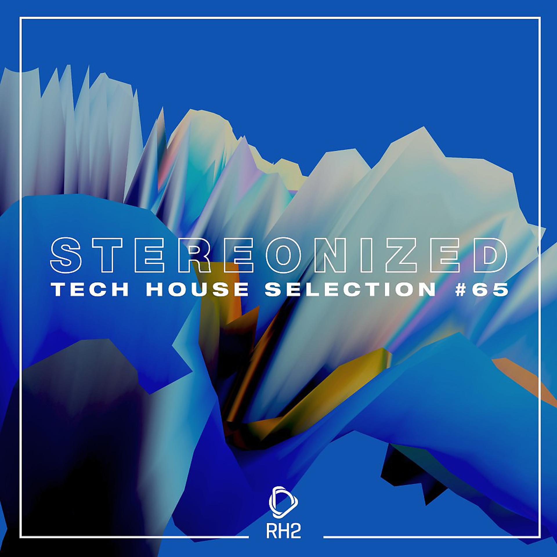 Постер альбома Stereonized: Tech House Selection, Vol. 65