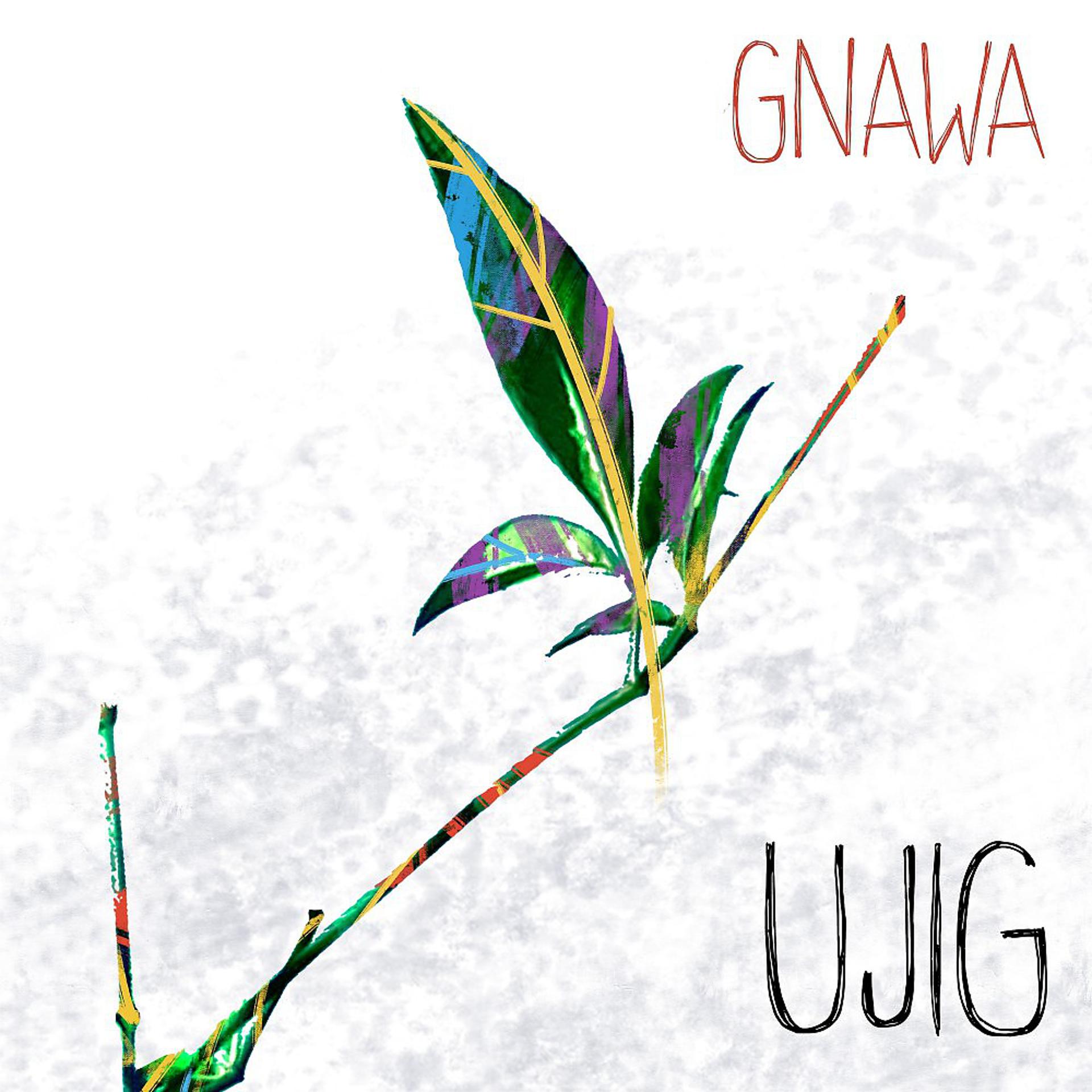 Постер альбома Gnawa